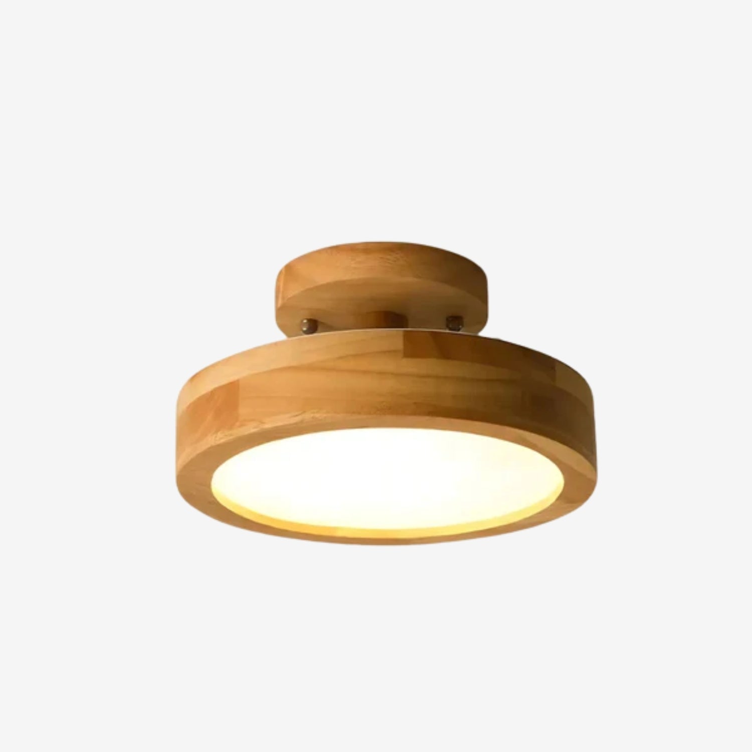 Pelezo Ceiling Light