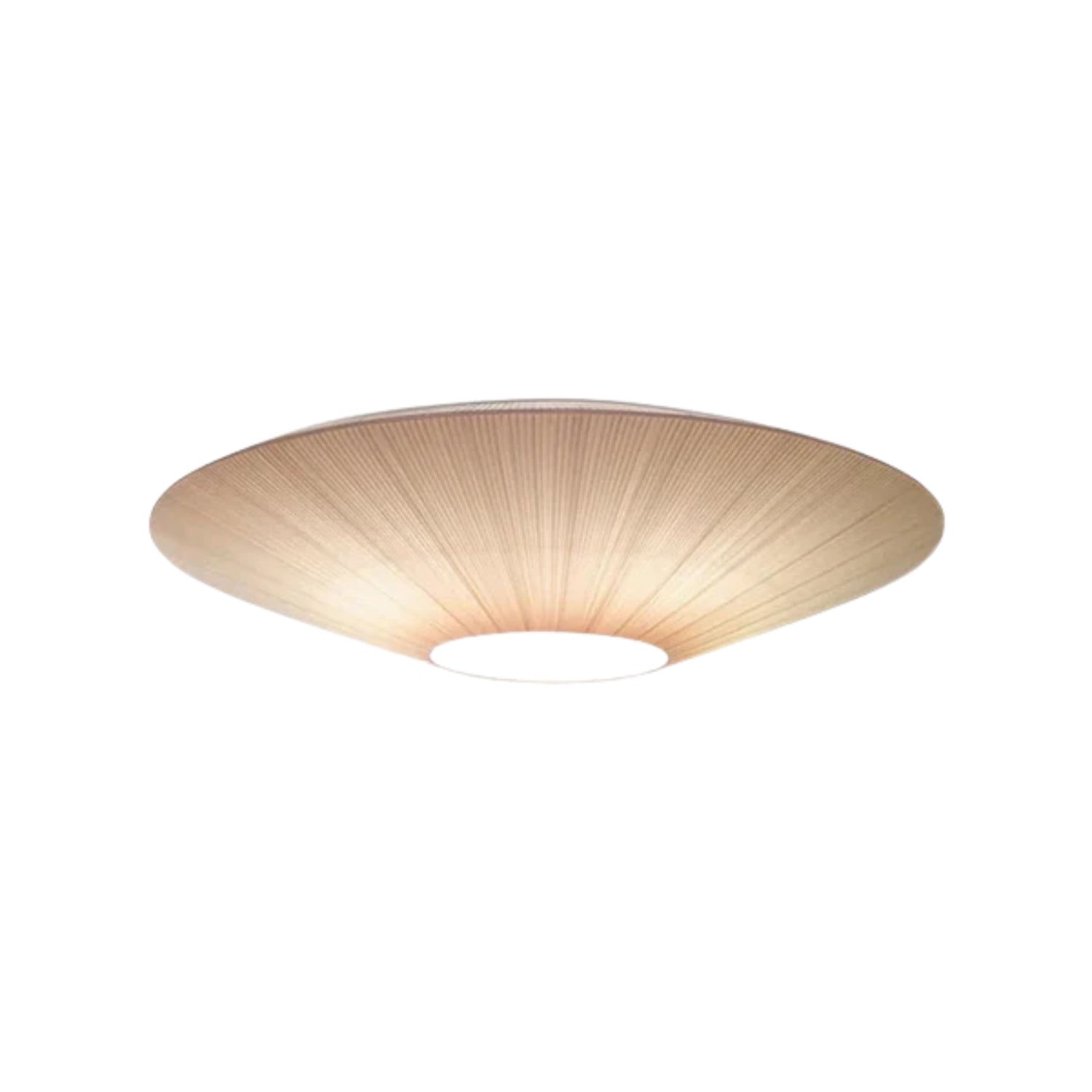 Arenyn Round Ceiling Light