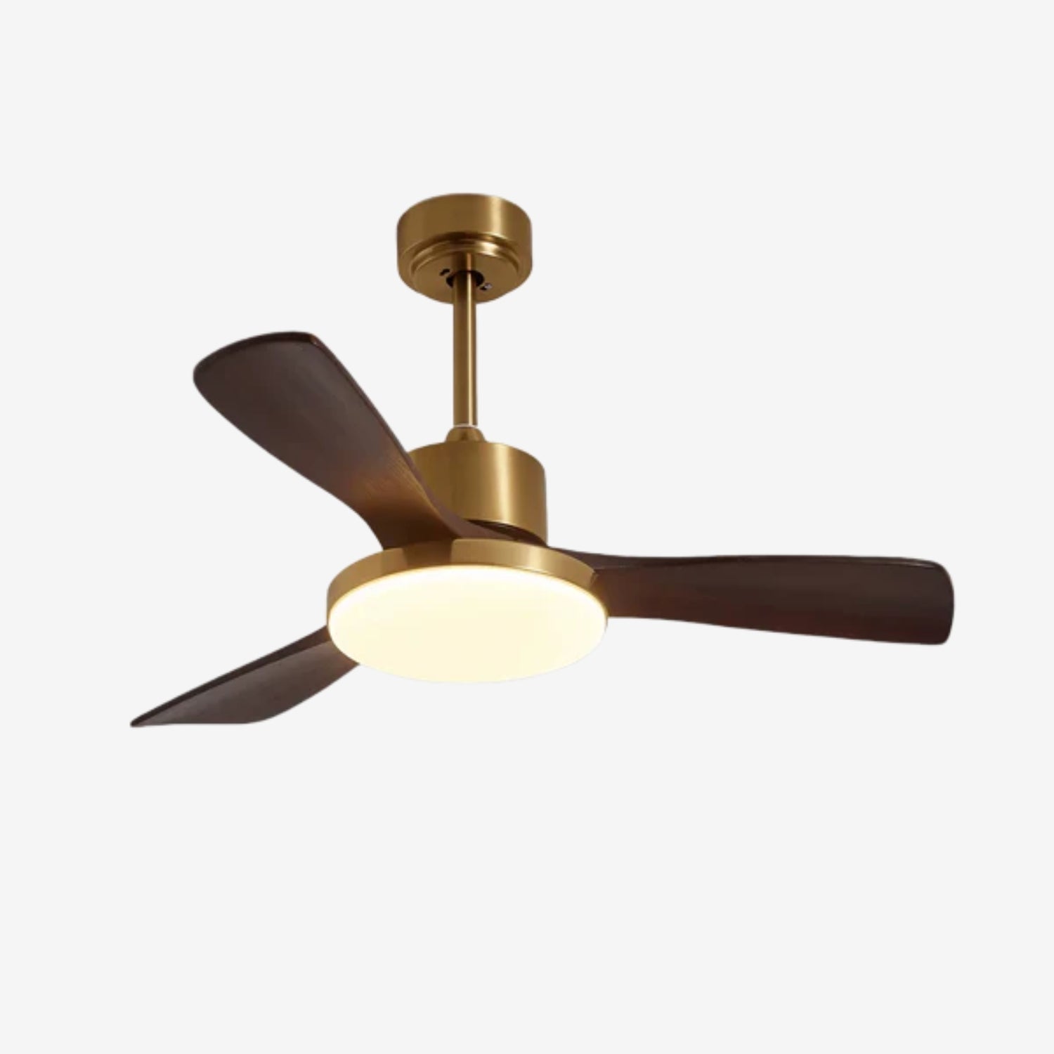 Eloria Ceiling Fan Light