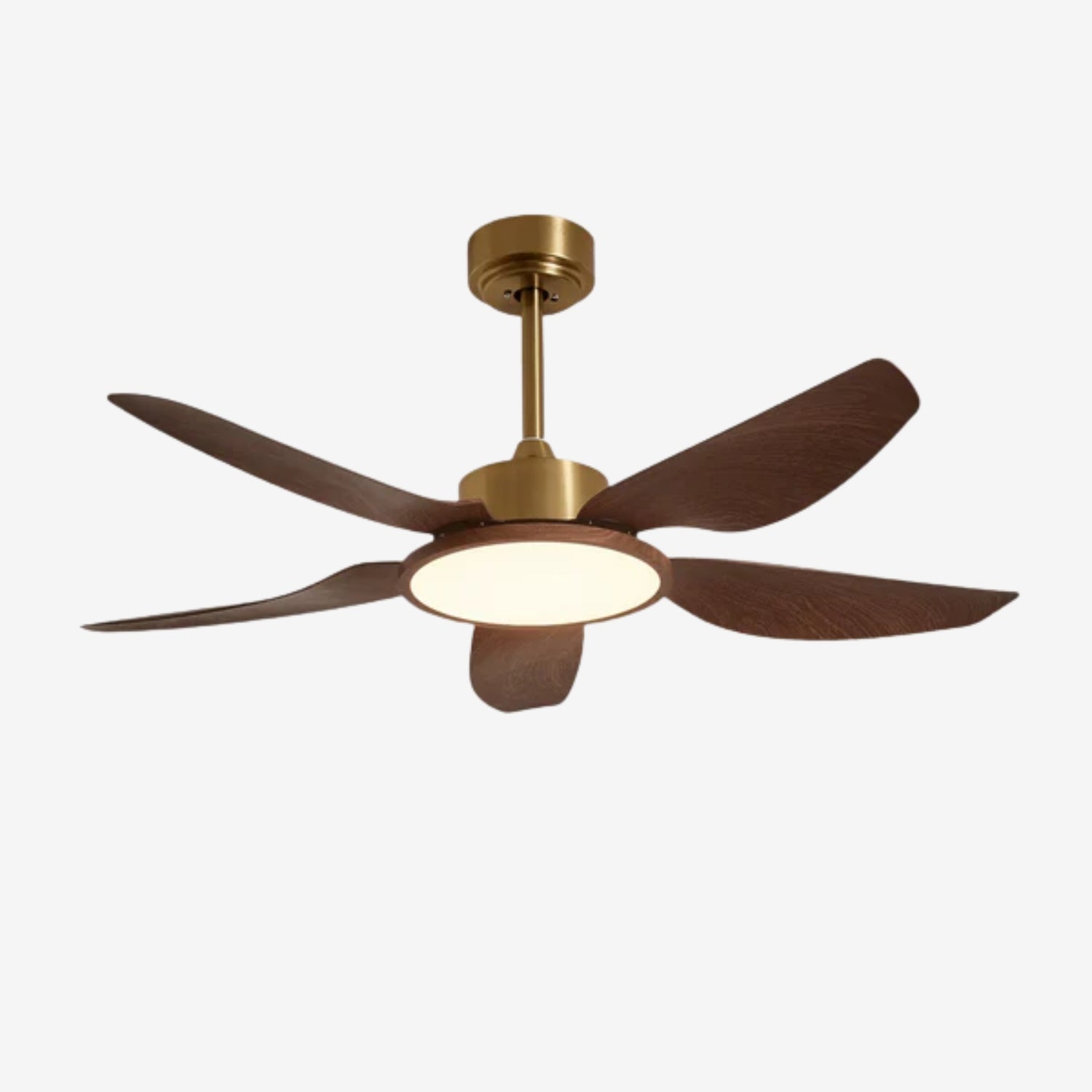 Amoro Ceiling Fan Light