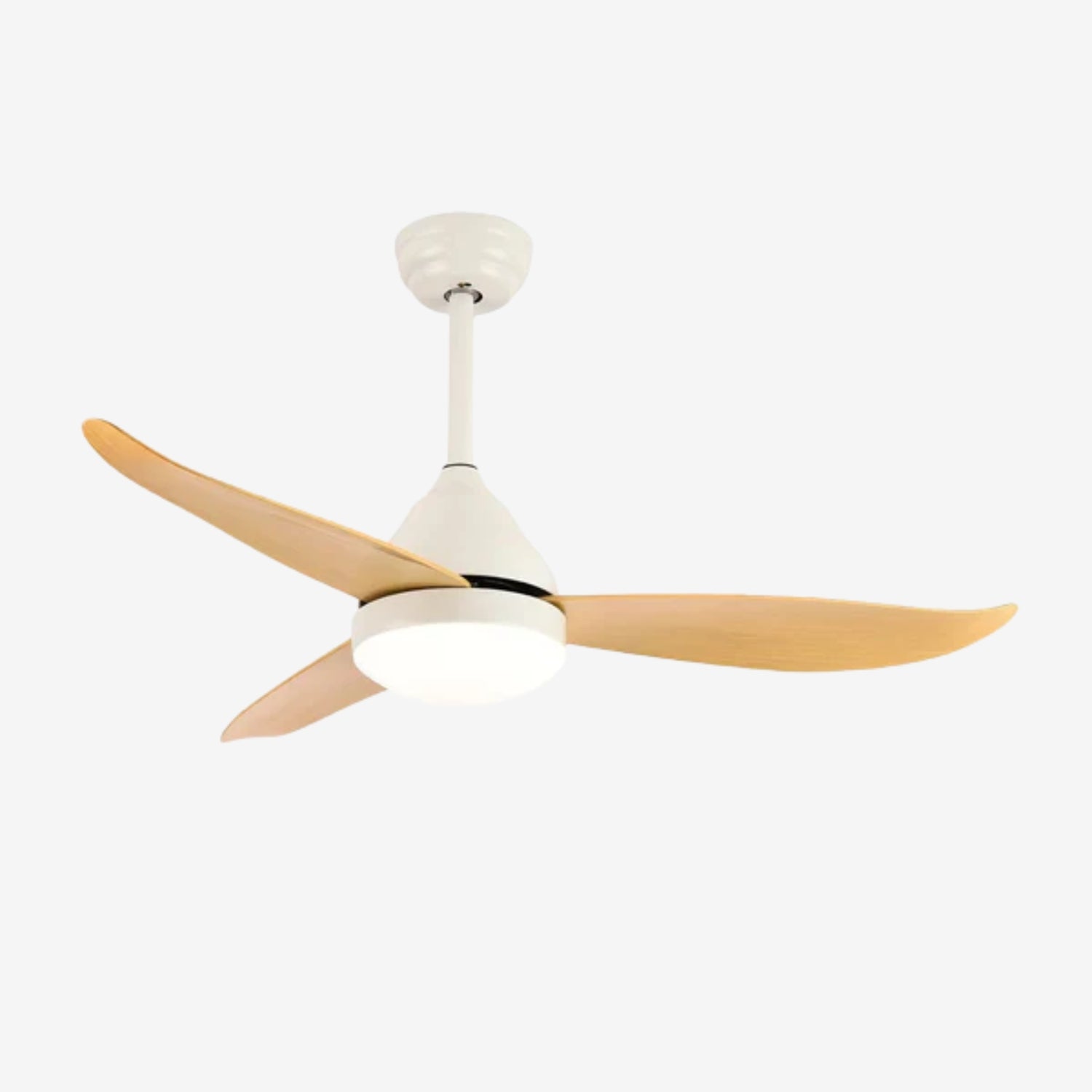 Verroza Ceiling Fan Light