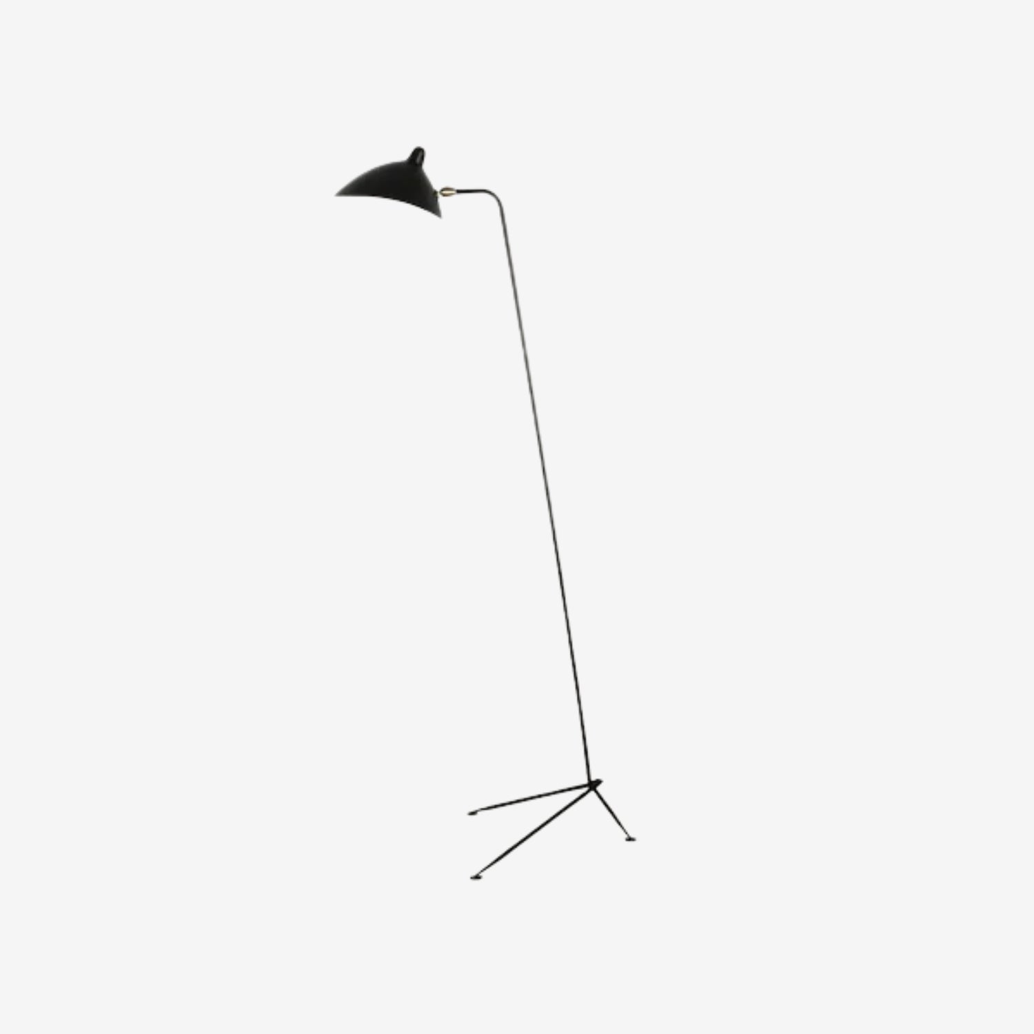 Baely Industrial Floor Lamp