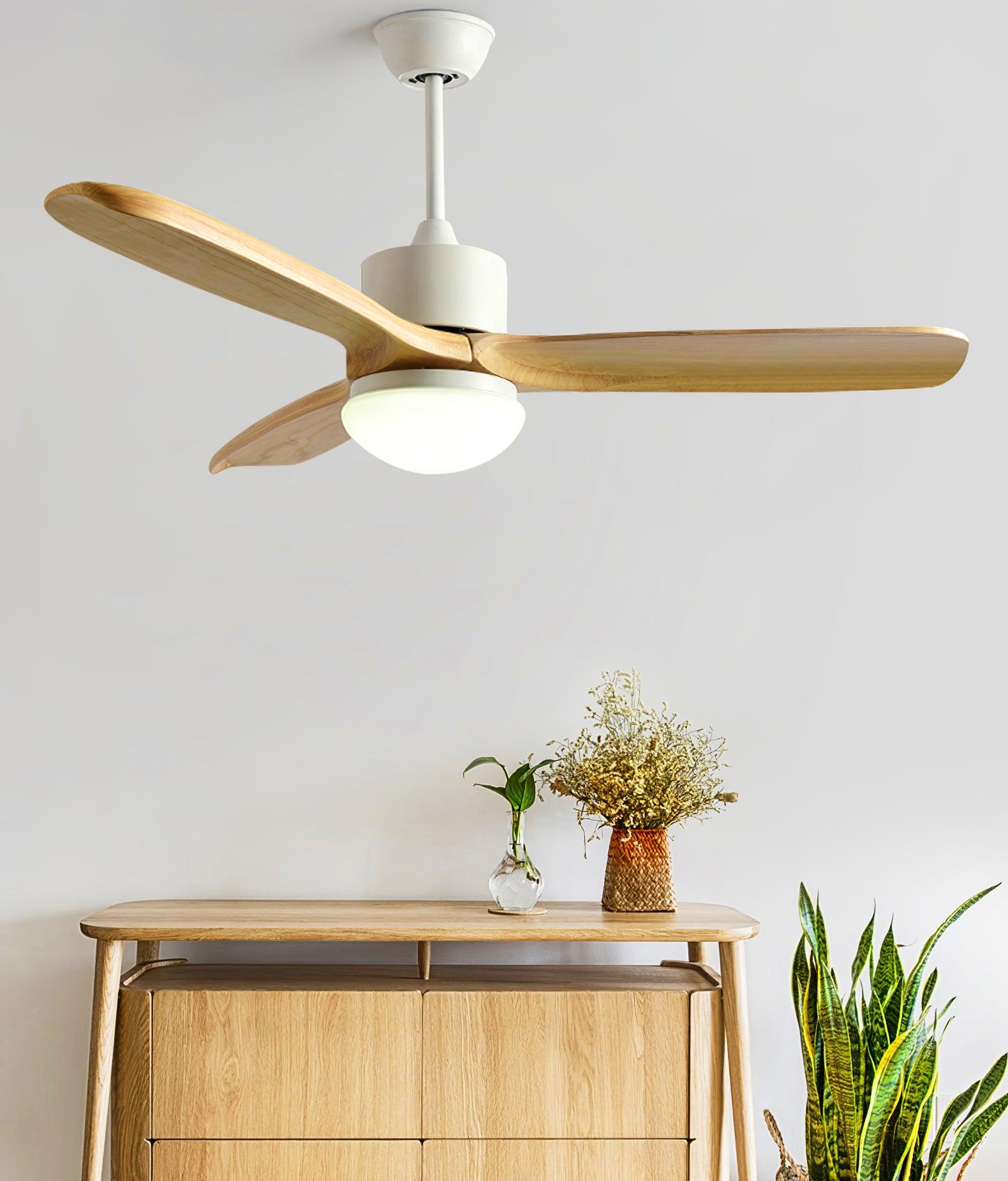 Avolano Outdoor Ceiling Fan Light