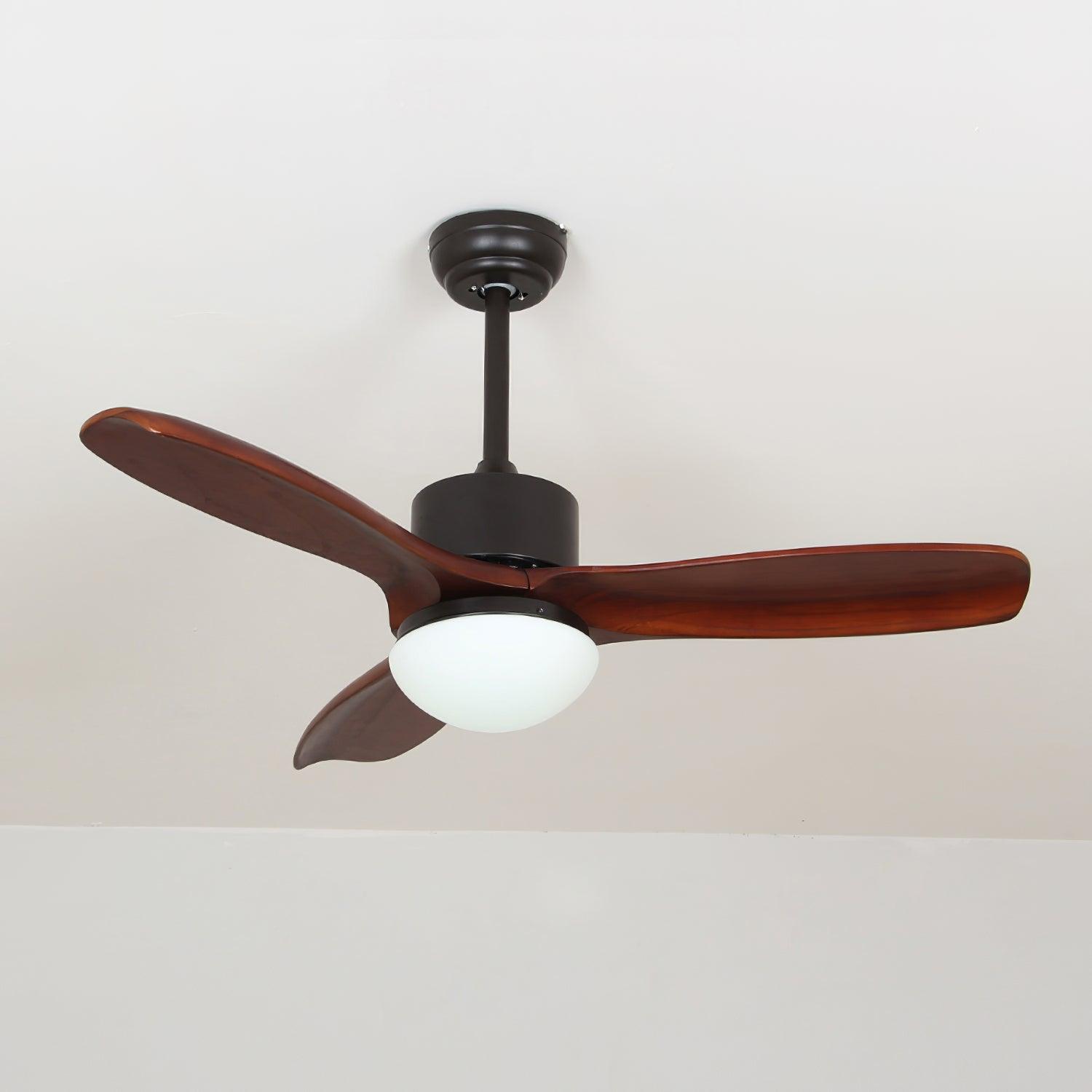 Avolano Outdoor Ceiling Fan Light