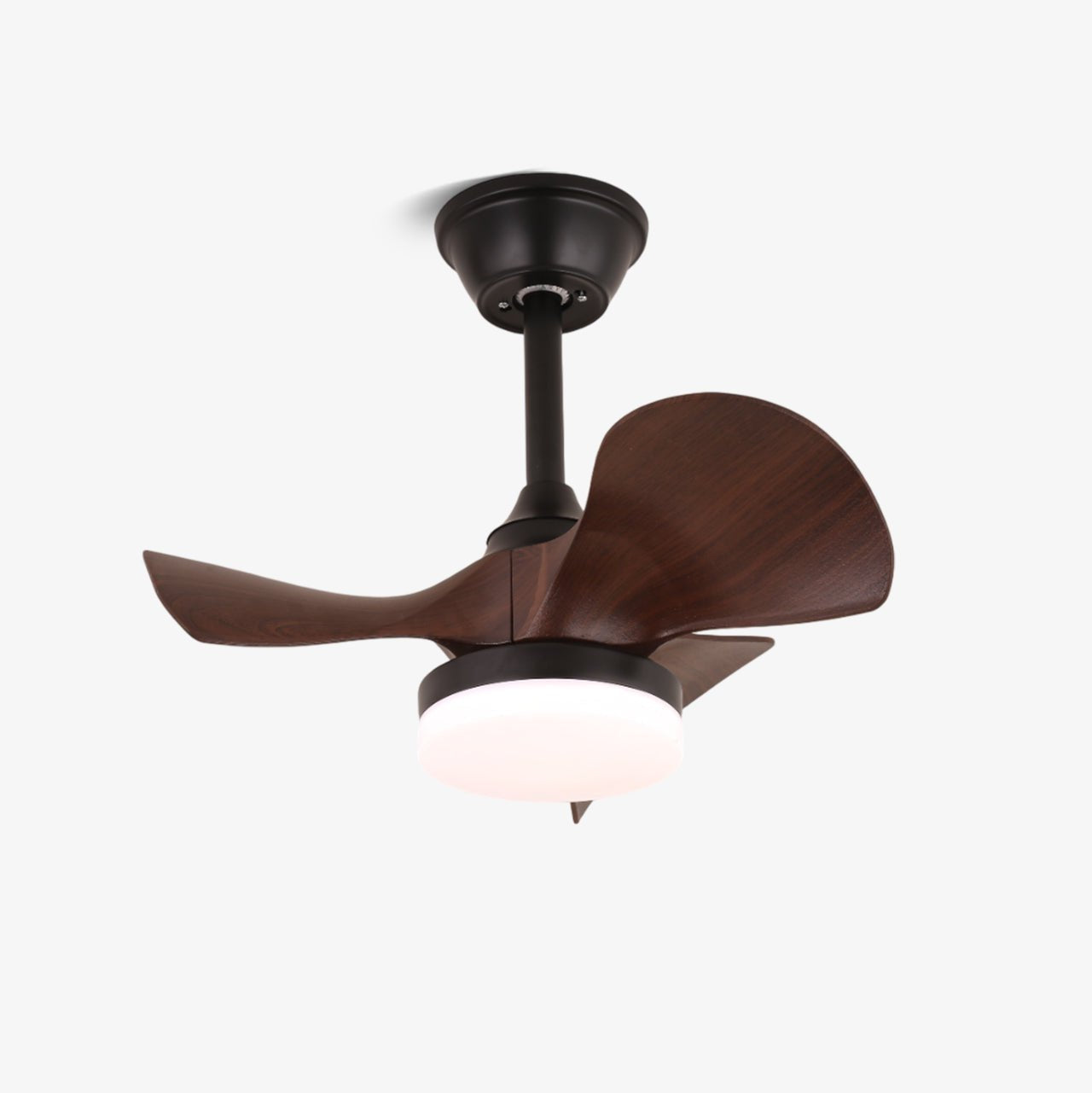 Baanea Ceiling Fan Light