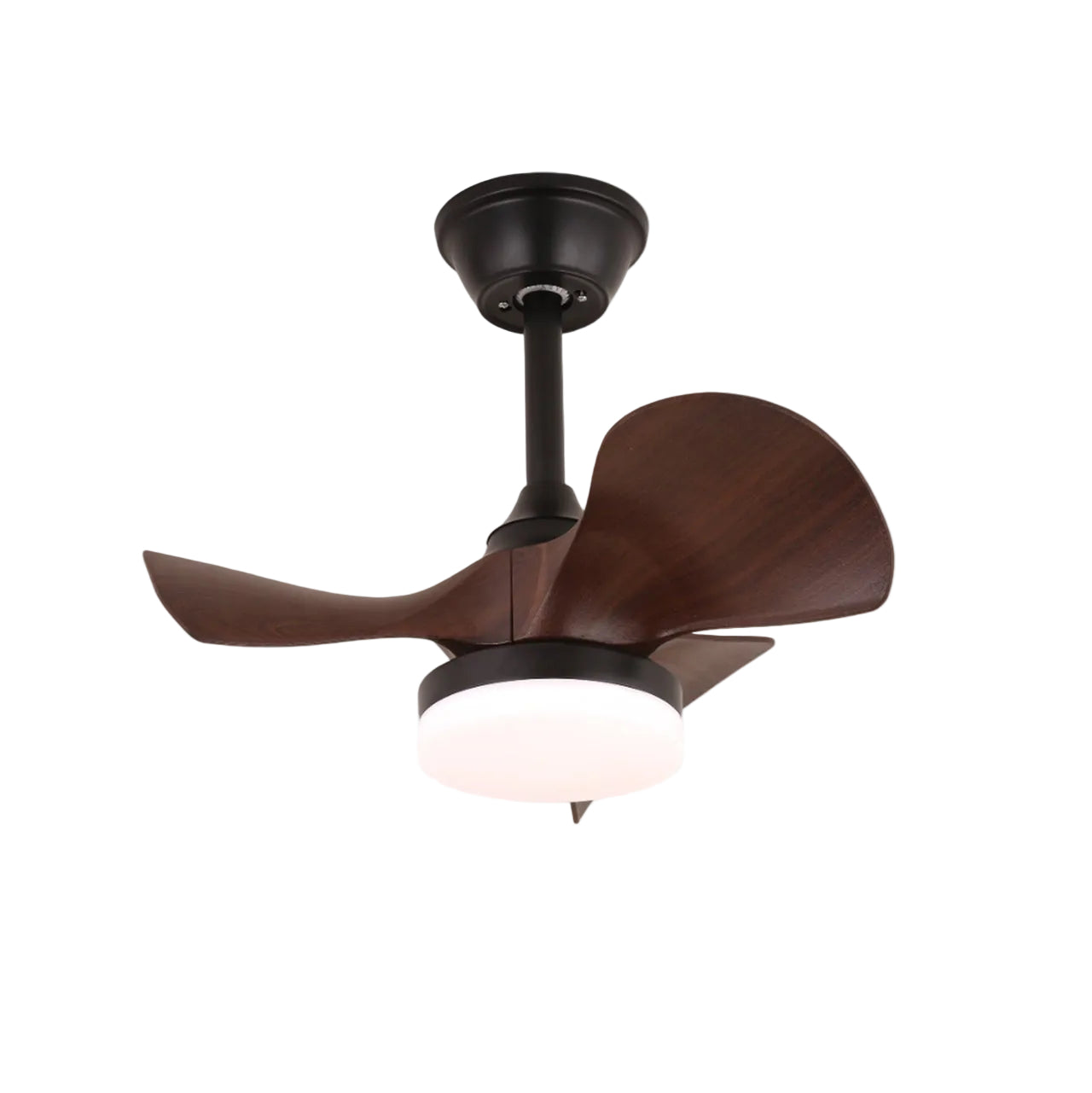 Baanea Ceiling Fan Light