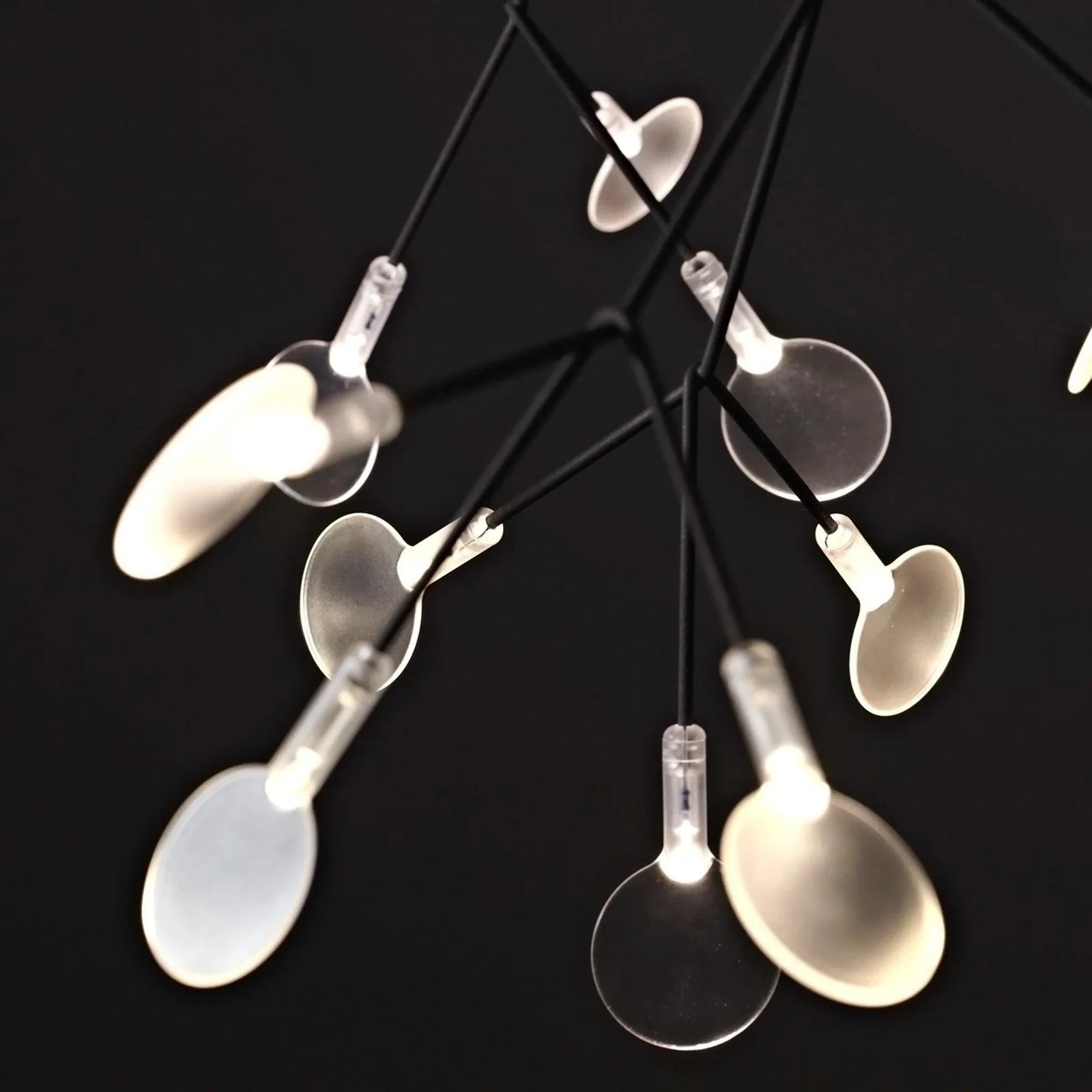 Alrosona Sculptural Chandelier