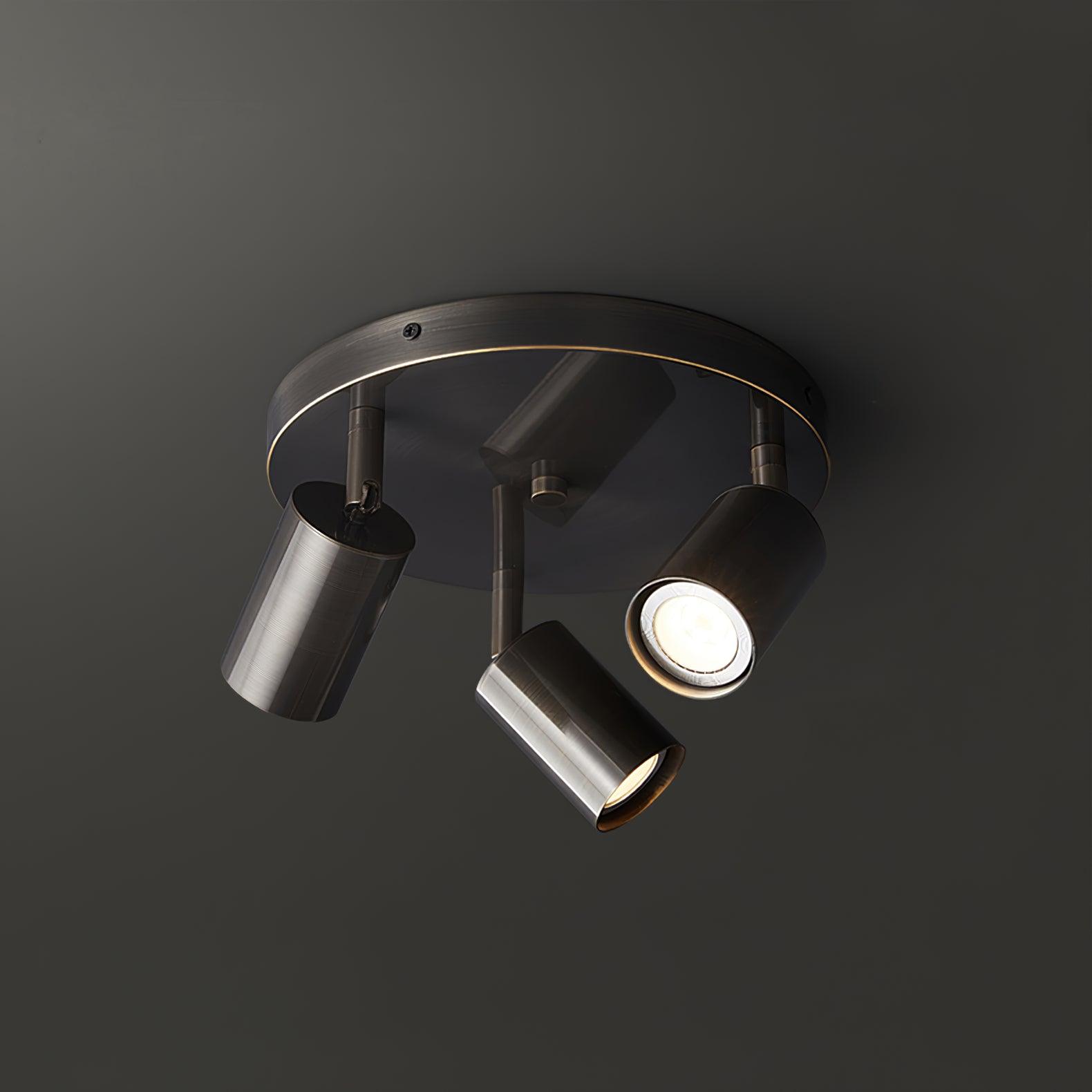 Pedenor Spotlight Ceiling Light
