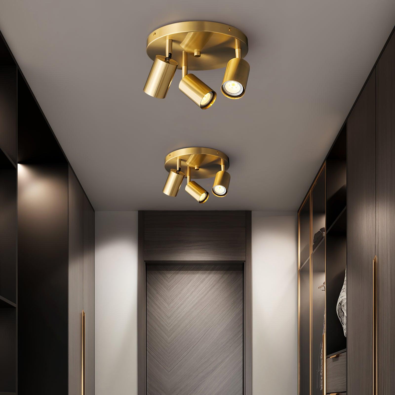 Pedenor Spotlight Ceiling Light