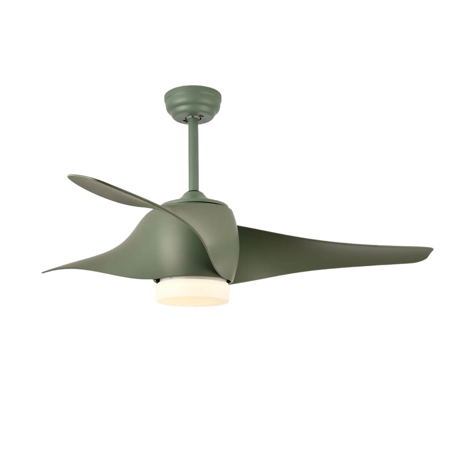 Ziressa Ceiling Fan Light