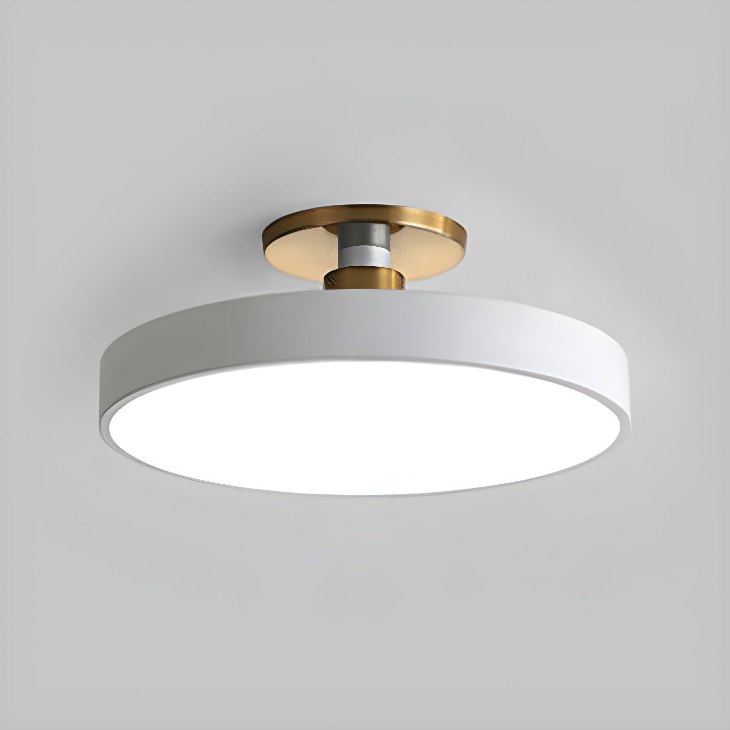 Basonelio Flush Mount Ceiling Light