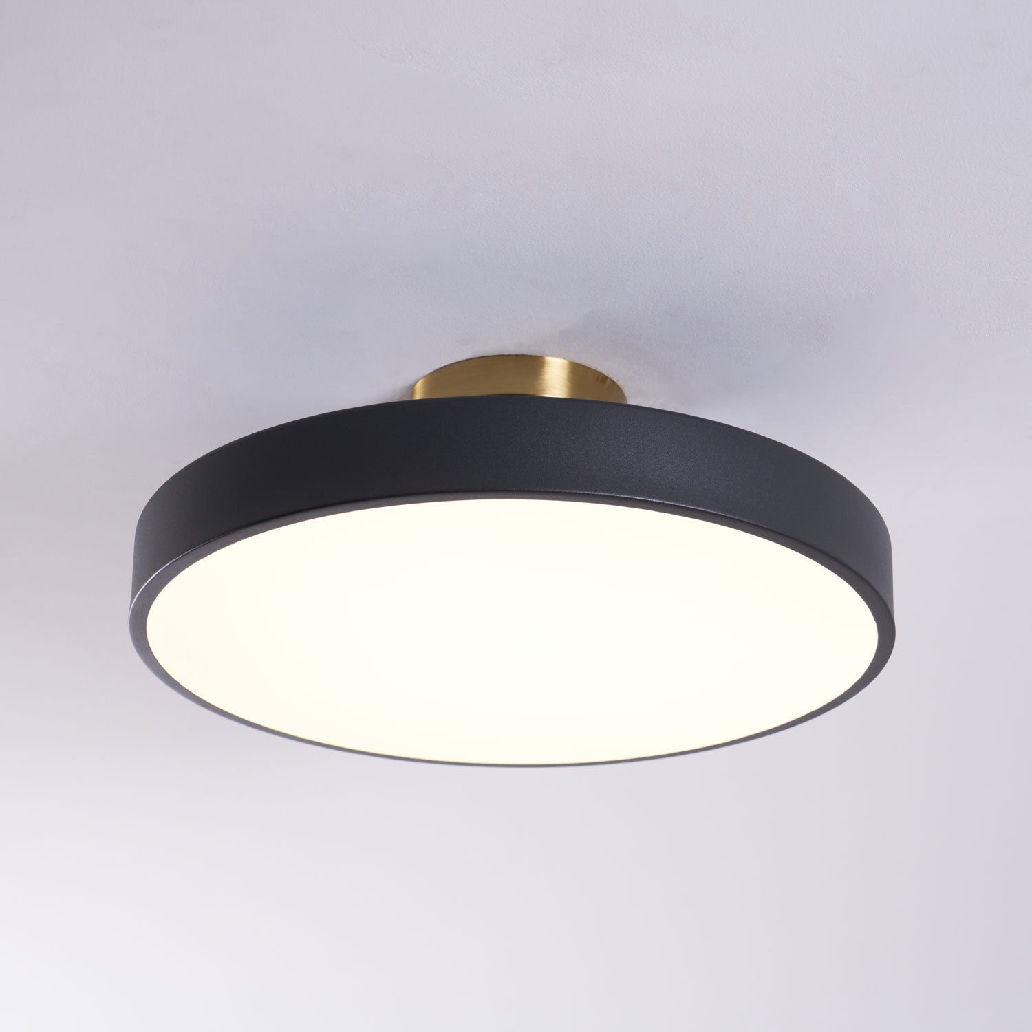 Basonelio Flush Mount Ceiling Light