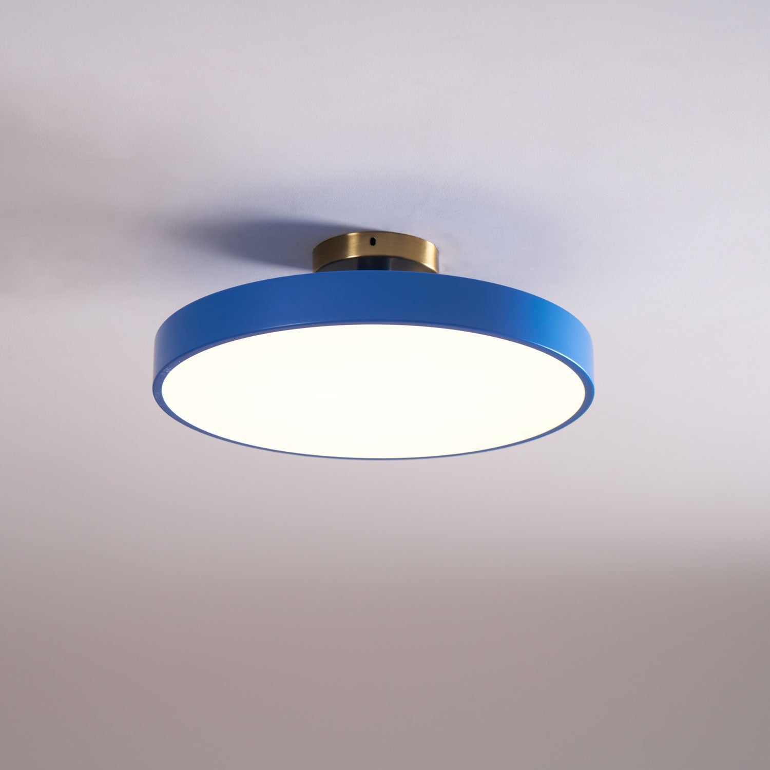 Basonelio Flush Mount Ceiling Light