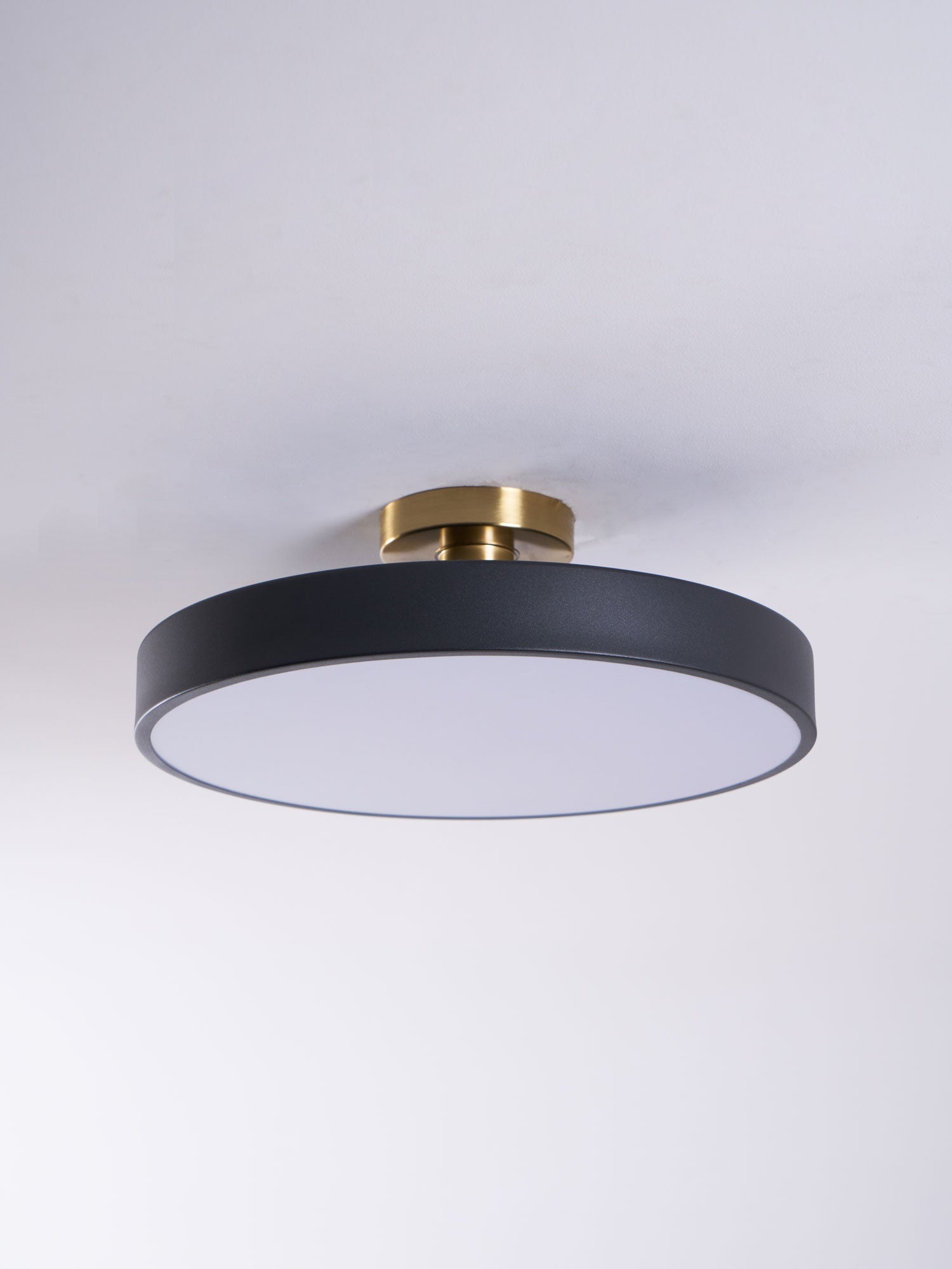Basonelio Flush Mount Ceiling Light