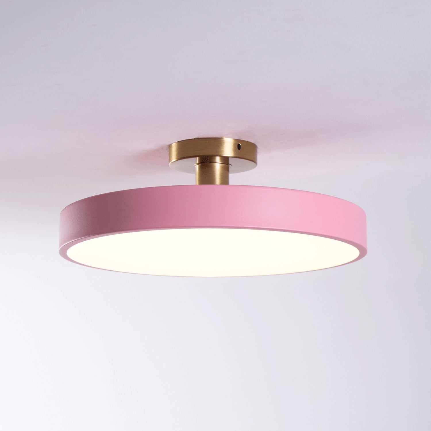 Basonelio Flush Mount Ceiling Light