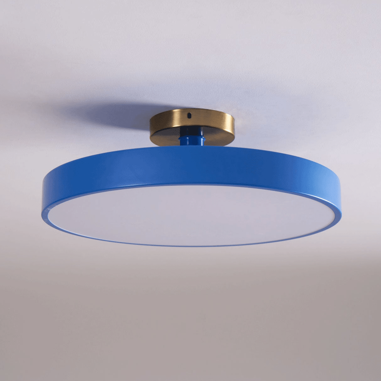 Basonelio Flush Mount Ceiling Light