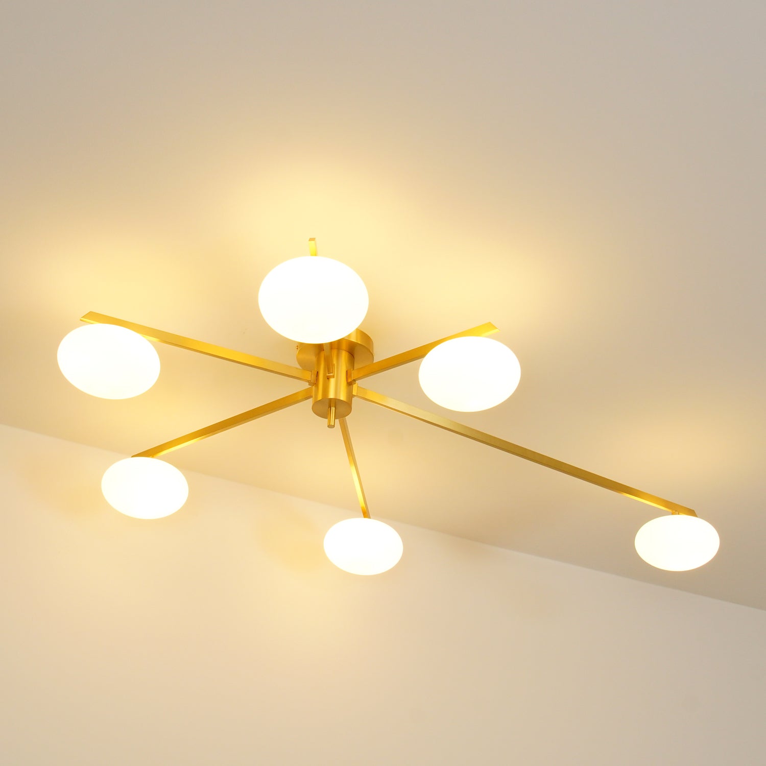 Alonius Modern Ceiling Light