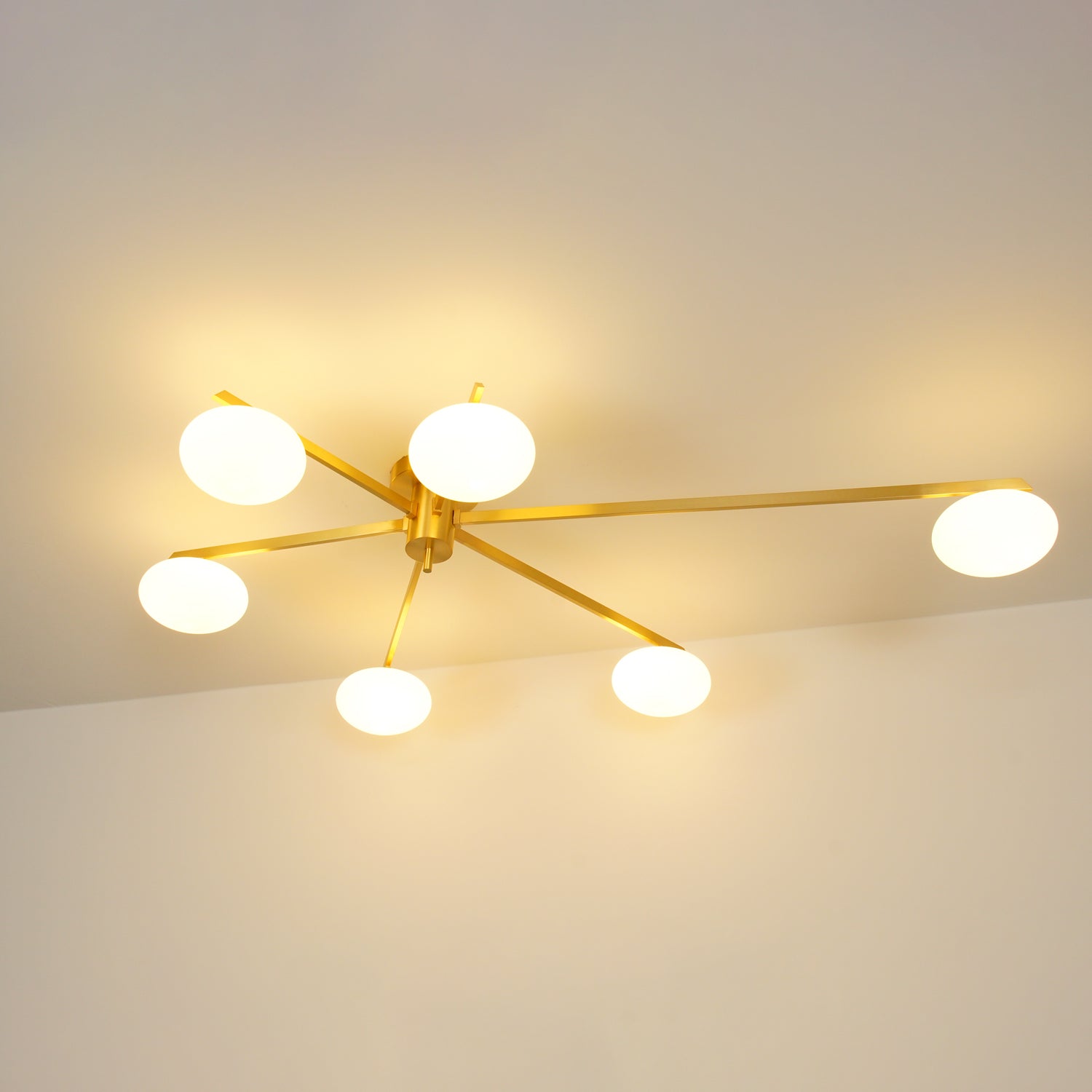 Alonius Modern Ceiling Light