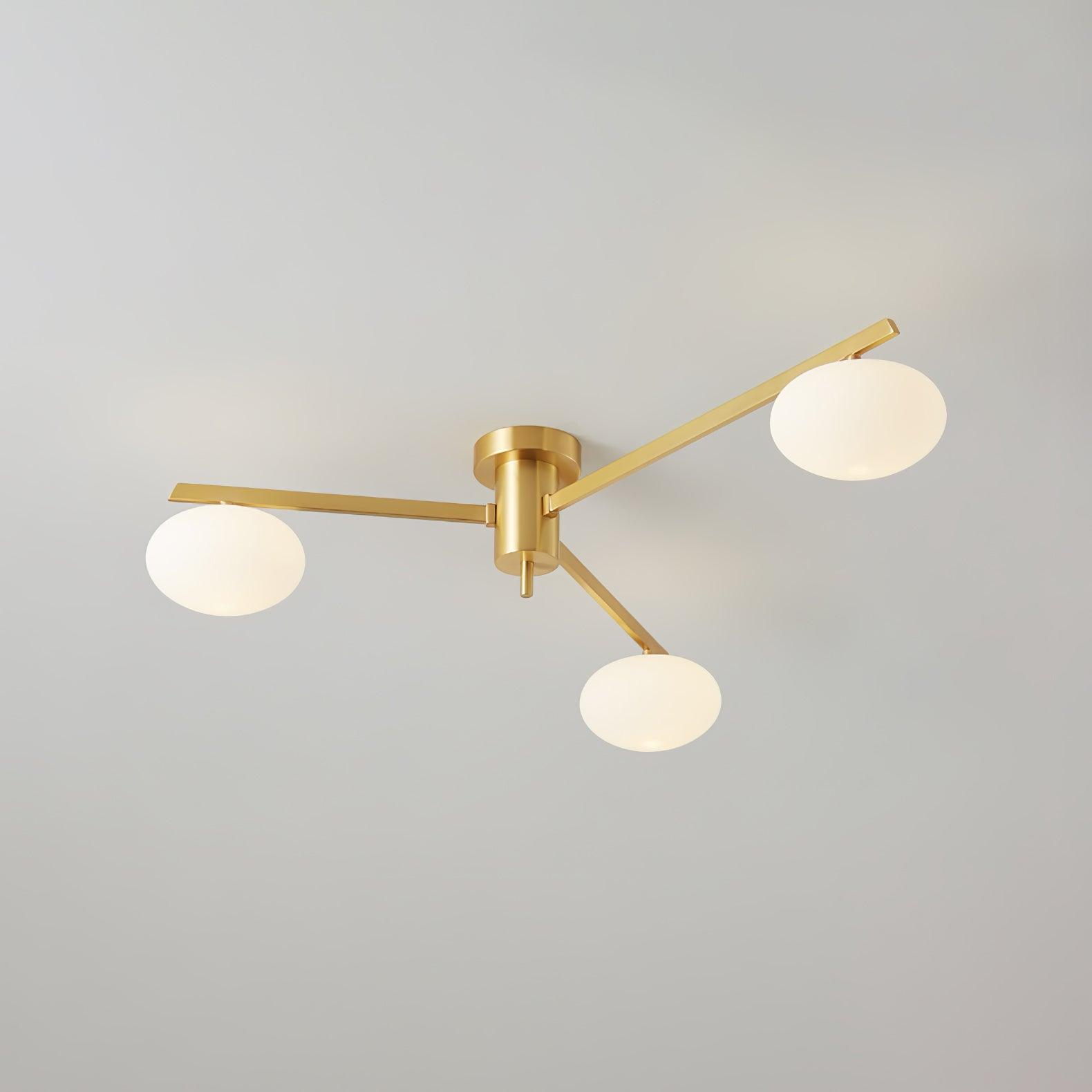 Alonius Modern Ceiling Light