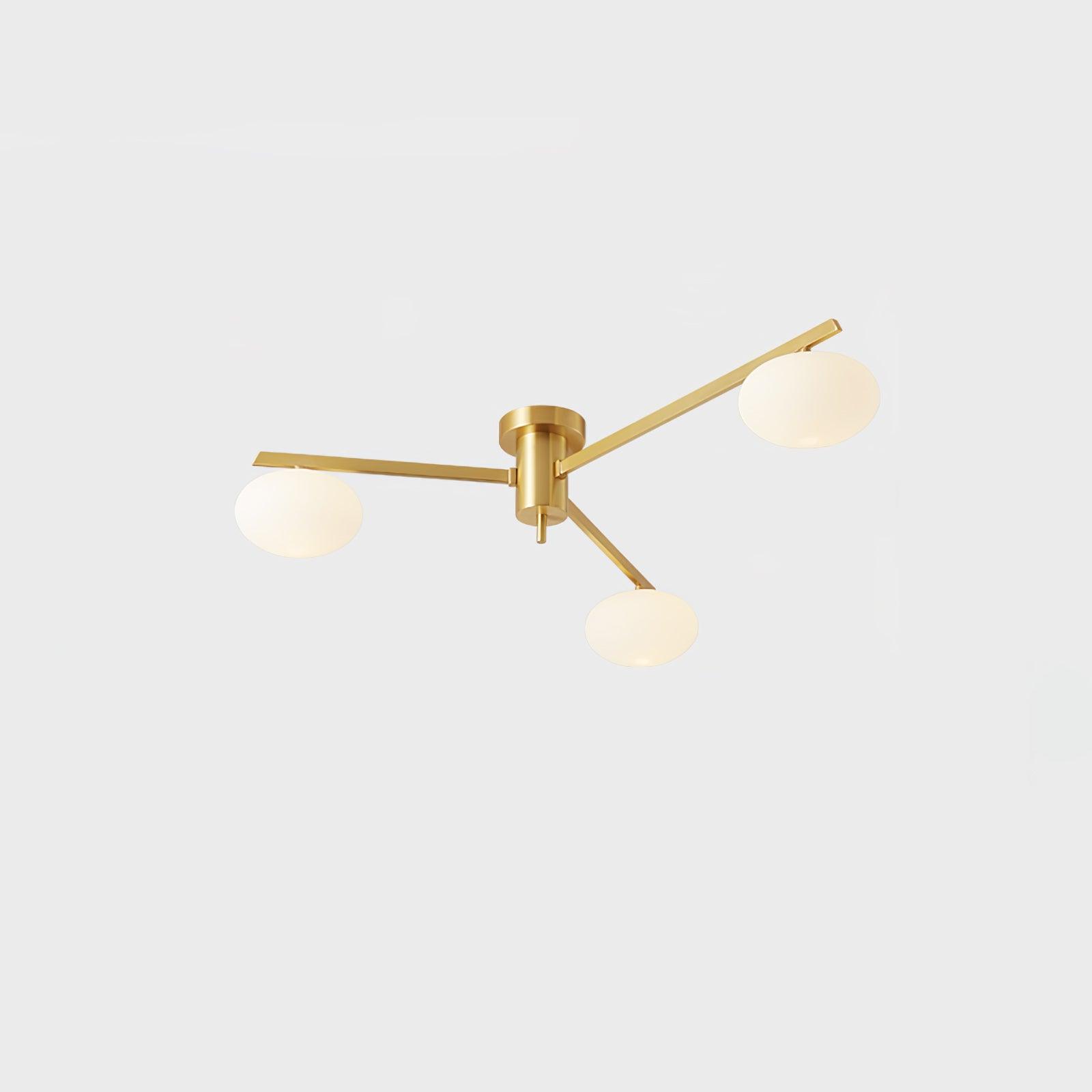 Alonius Modern Ceiling Light