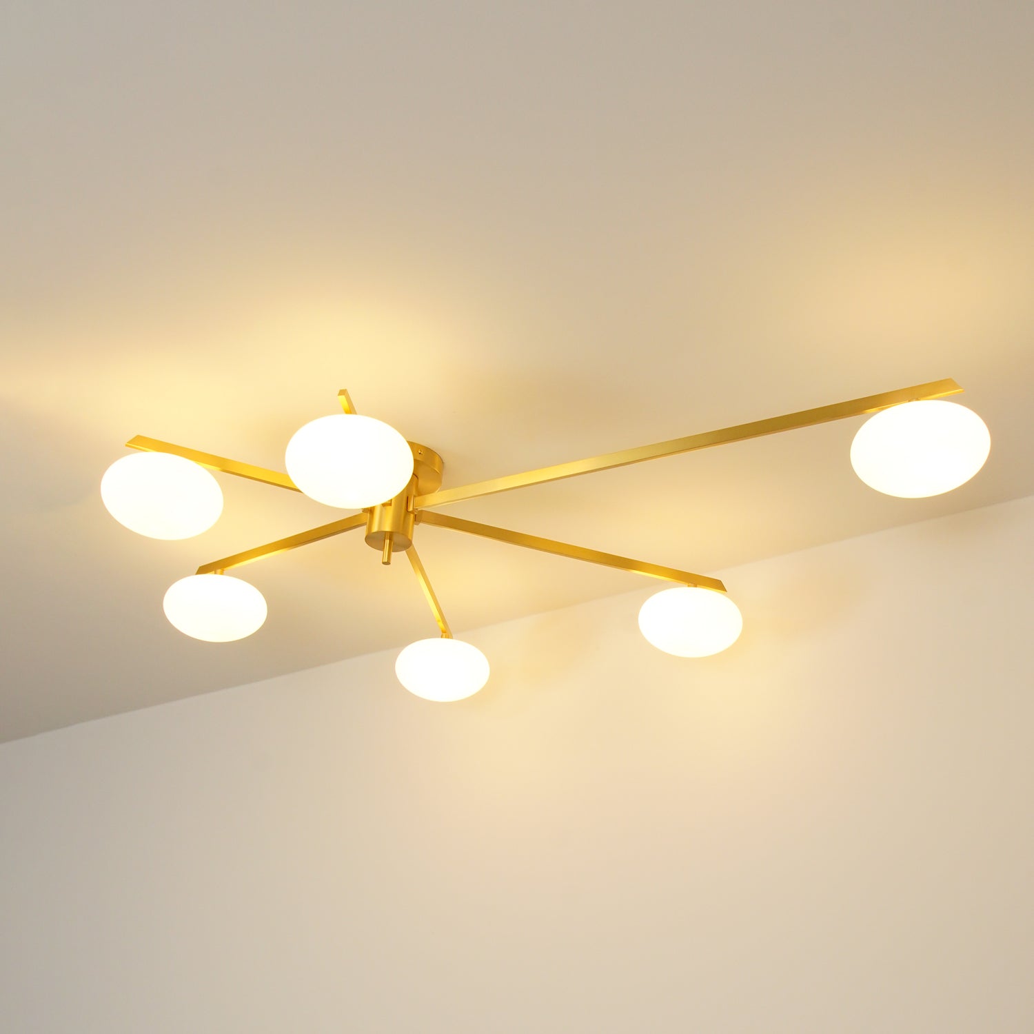 Alonius Modern Ceiling Light