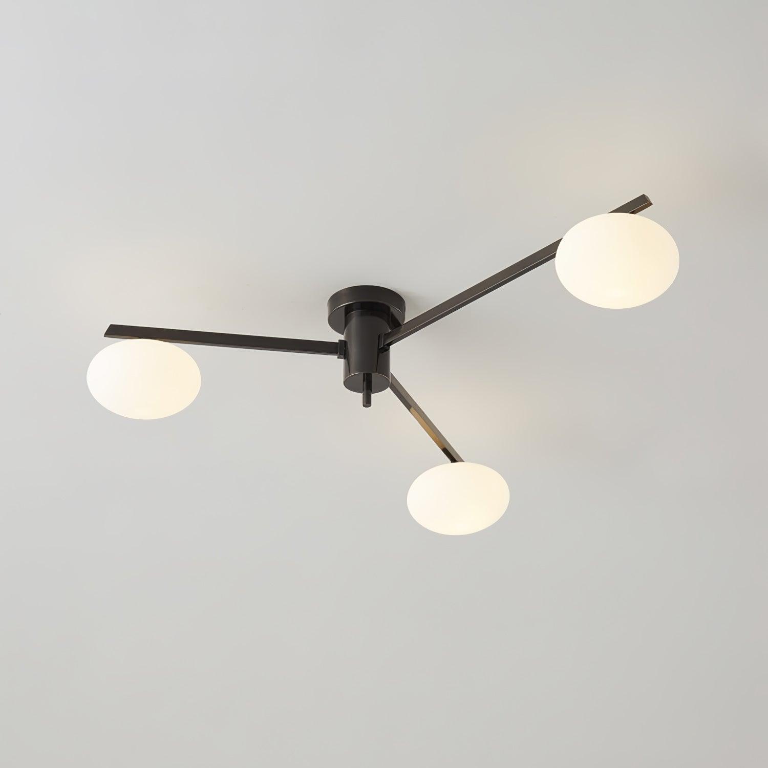 Alonius Modern Ceiling Light