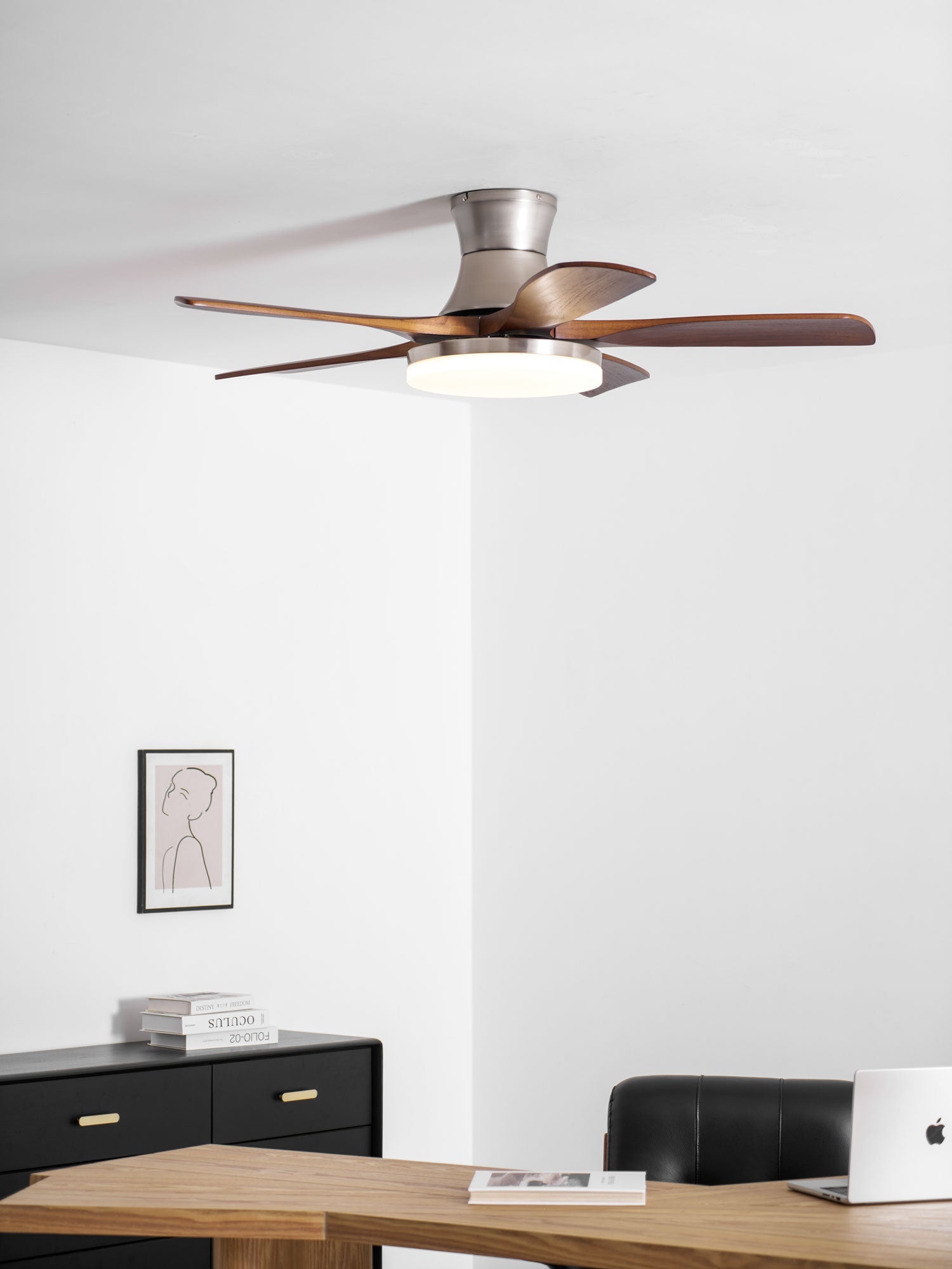 Avonnello Ceiling Fan Light