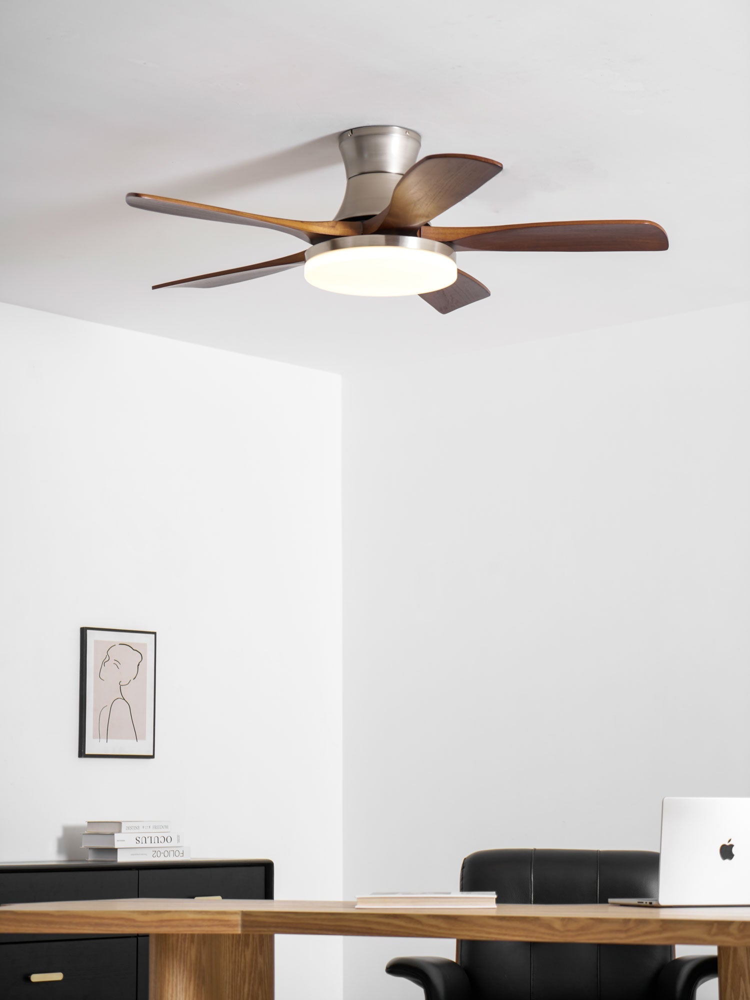 Avonnello Ceiling Fan Light