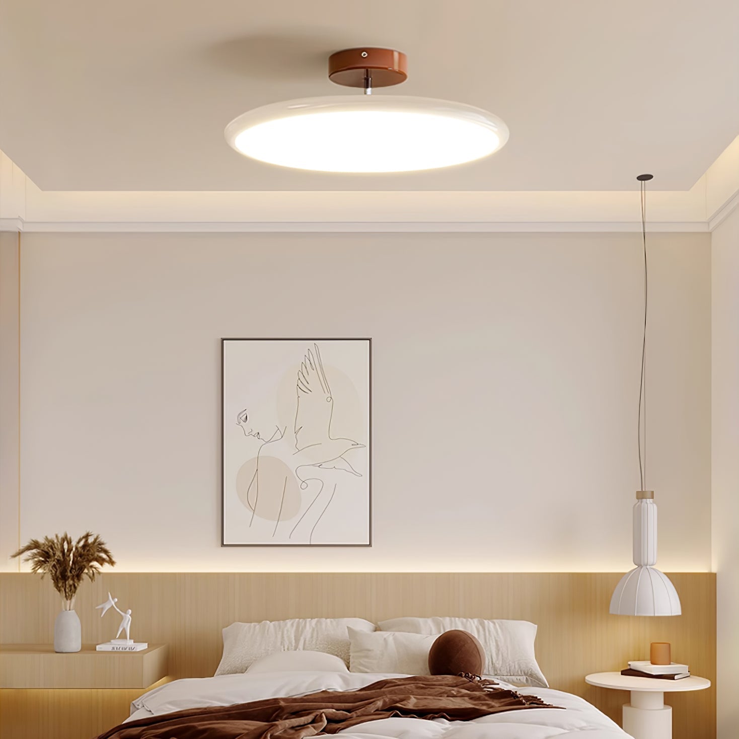 Alovava Round Ceiling Light
