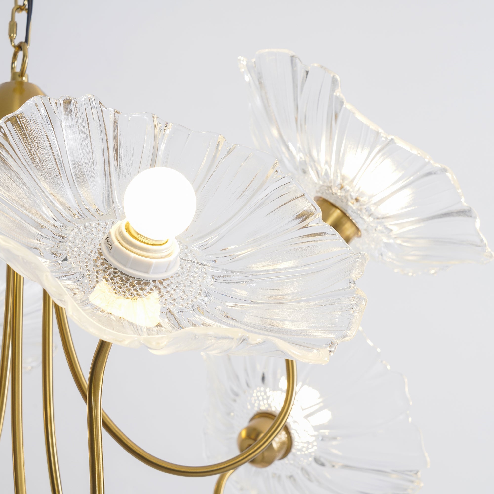 Alonnyo Leaf Chandelier