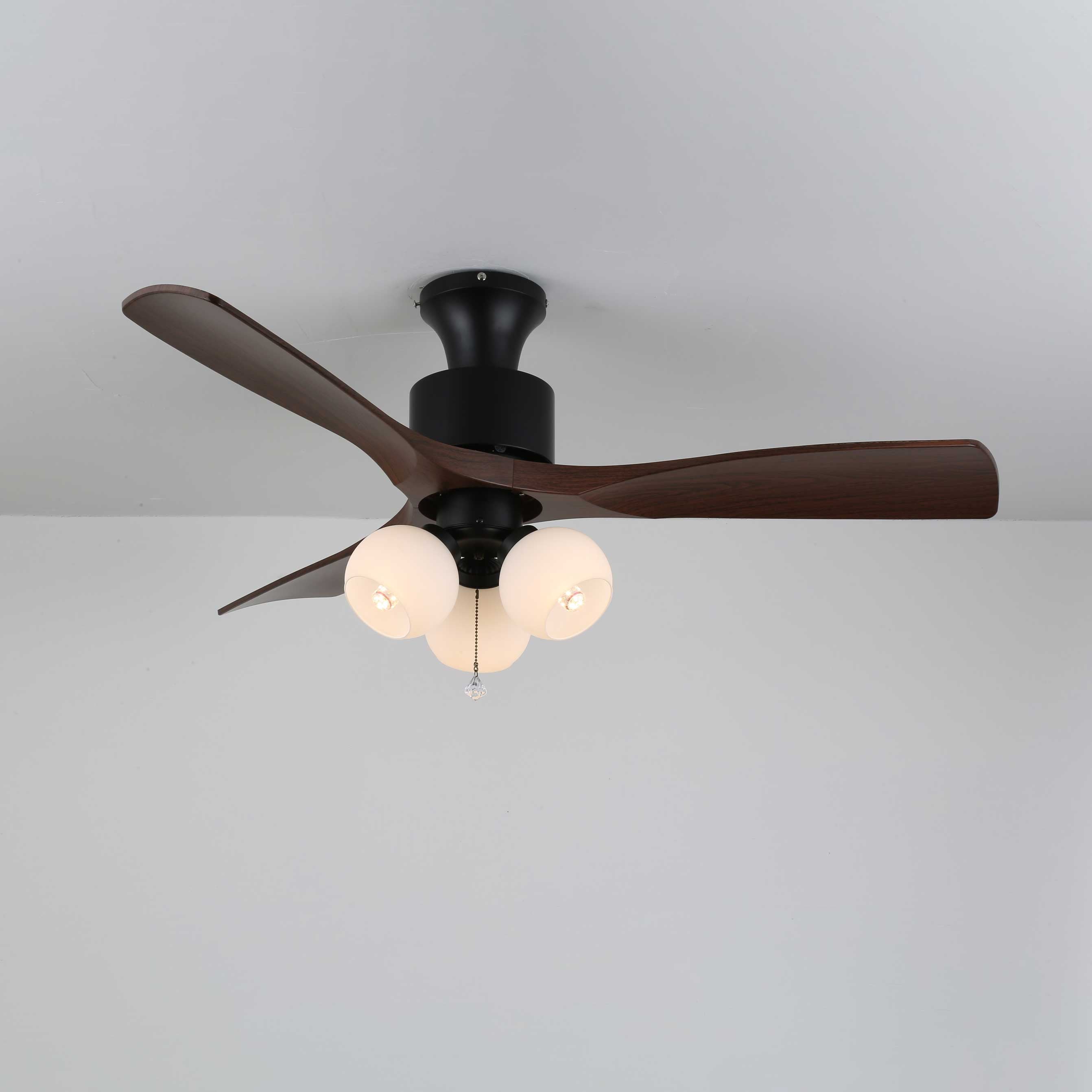 Aralon Globe Ceiling Fan Light