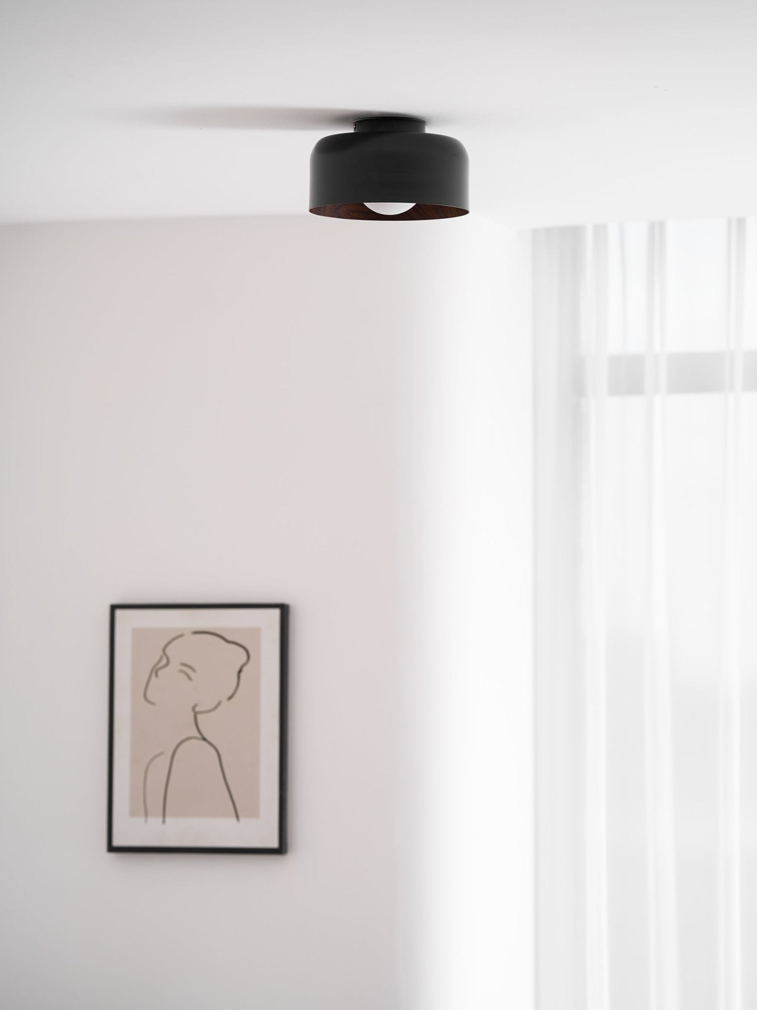 Belrosus Ceiling Light