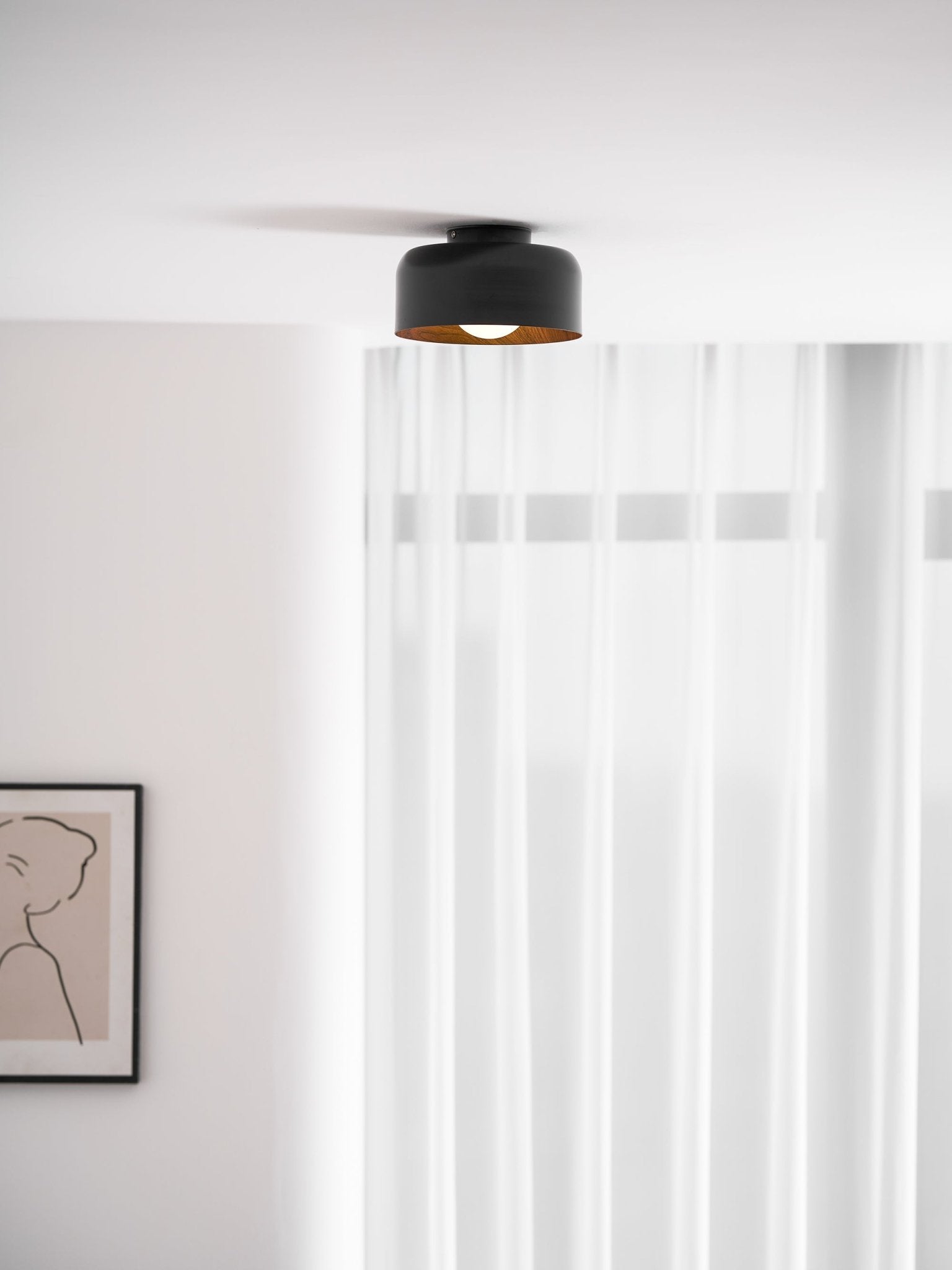 Belrosus Ceiling Light