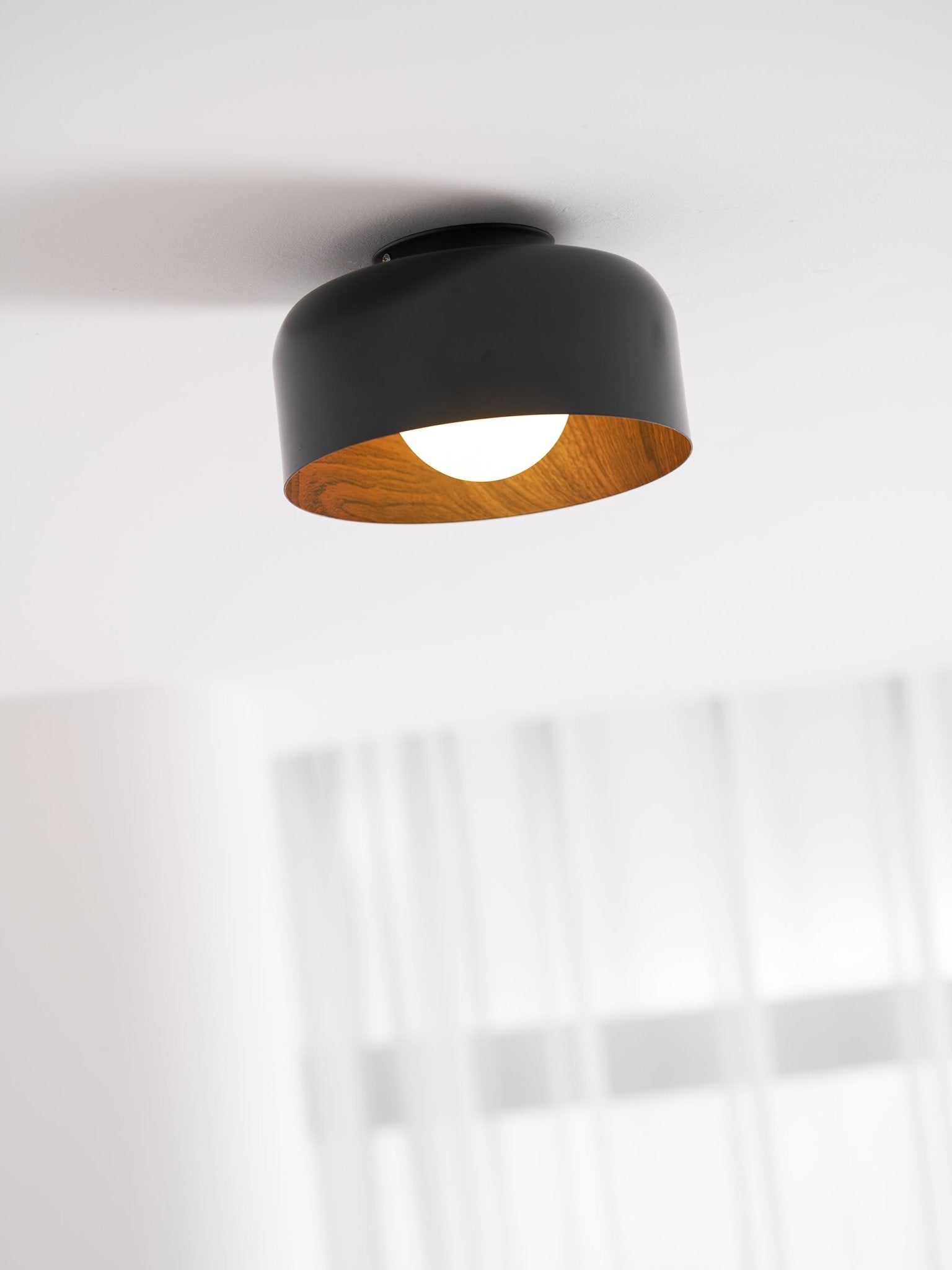 Belrosus Ceiling Light