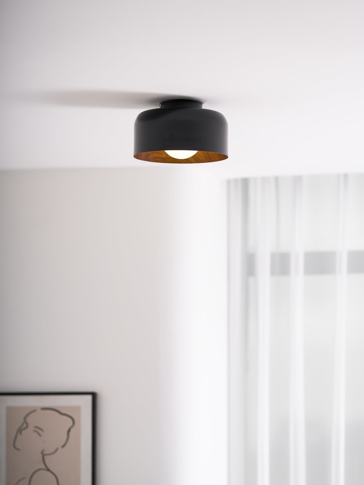 Belrosus Ceiling Light