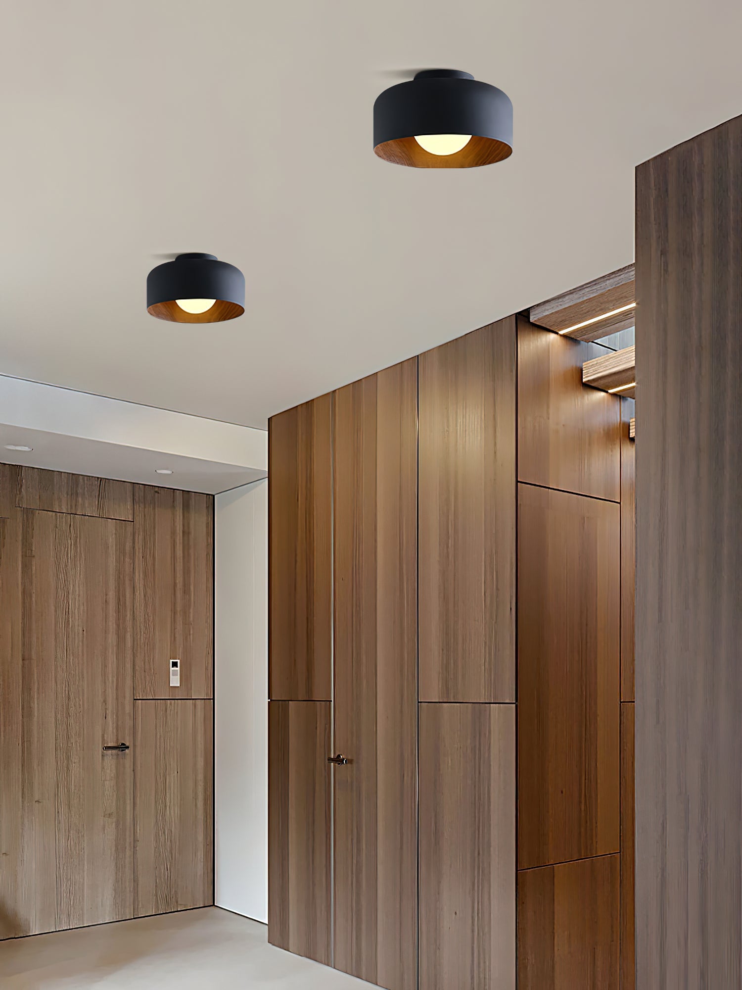 Belrosus Ceiling Light