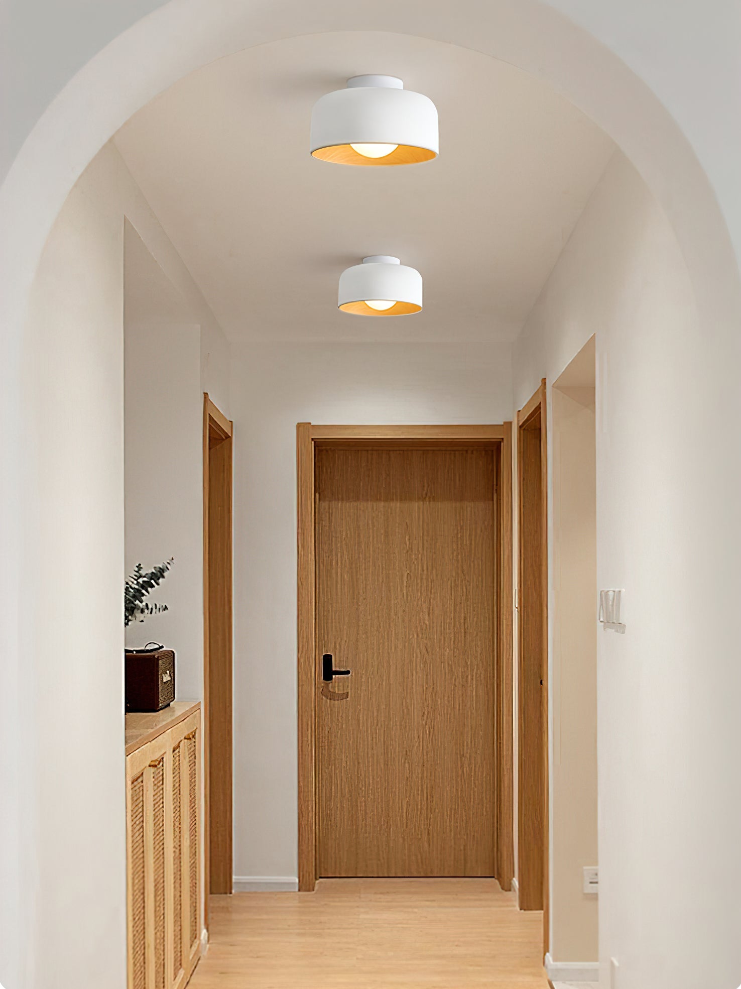 Belrosus Ceiling Light