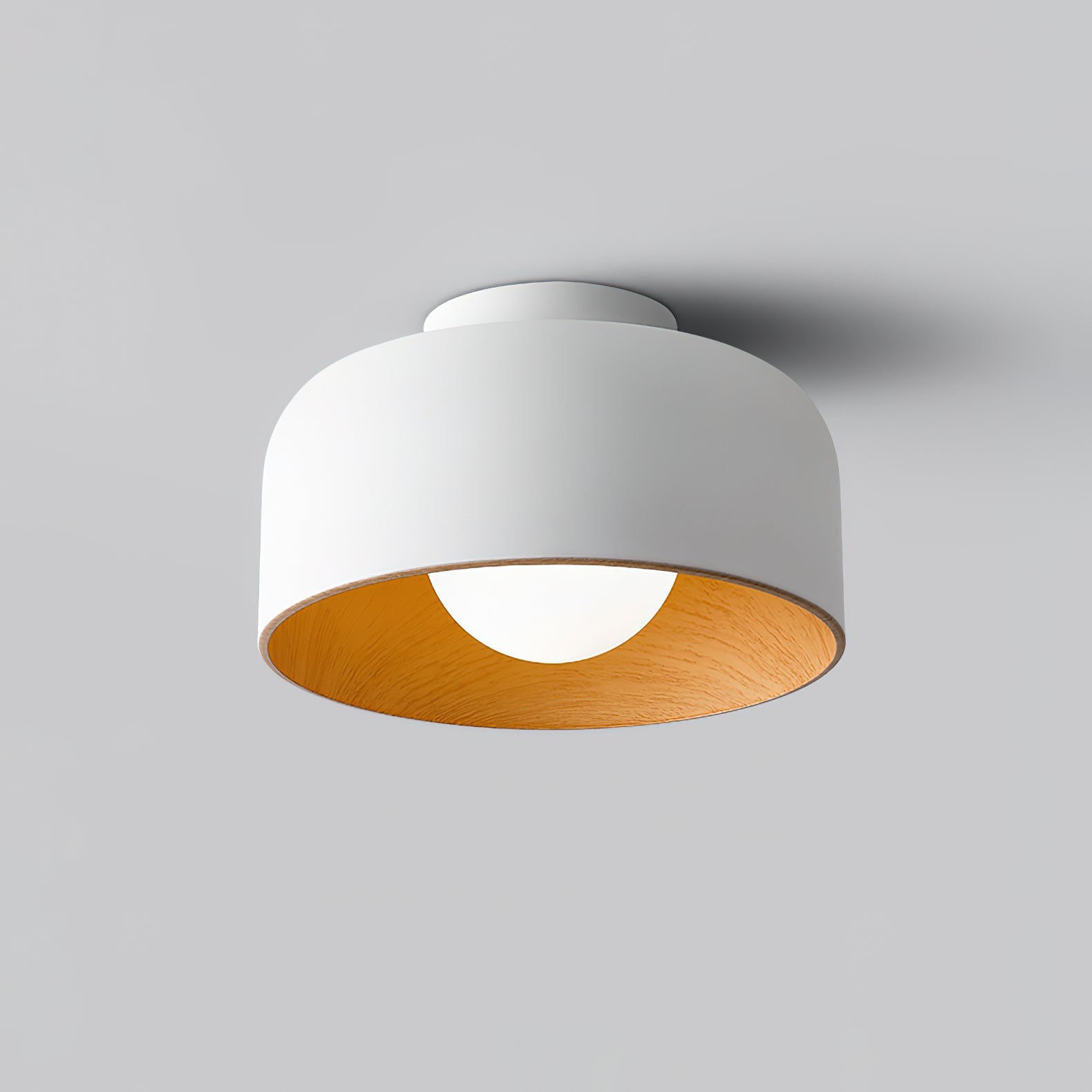 Belrosus Ceiling Light
