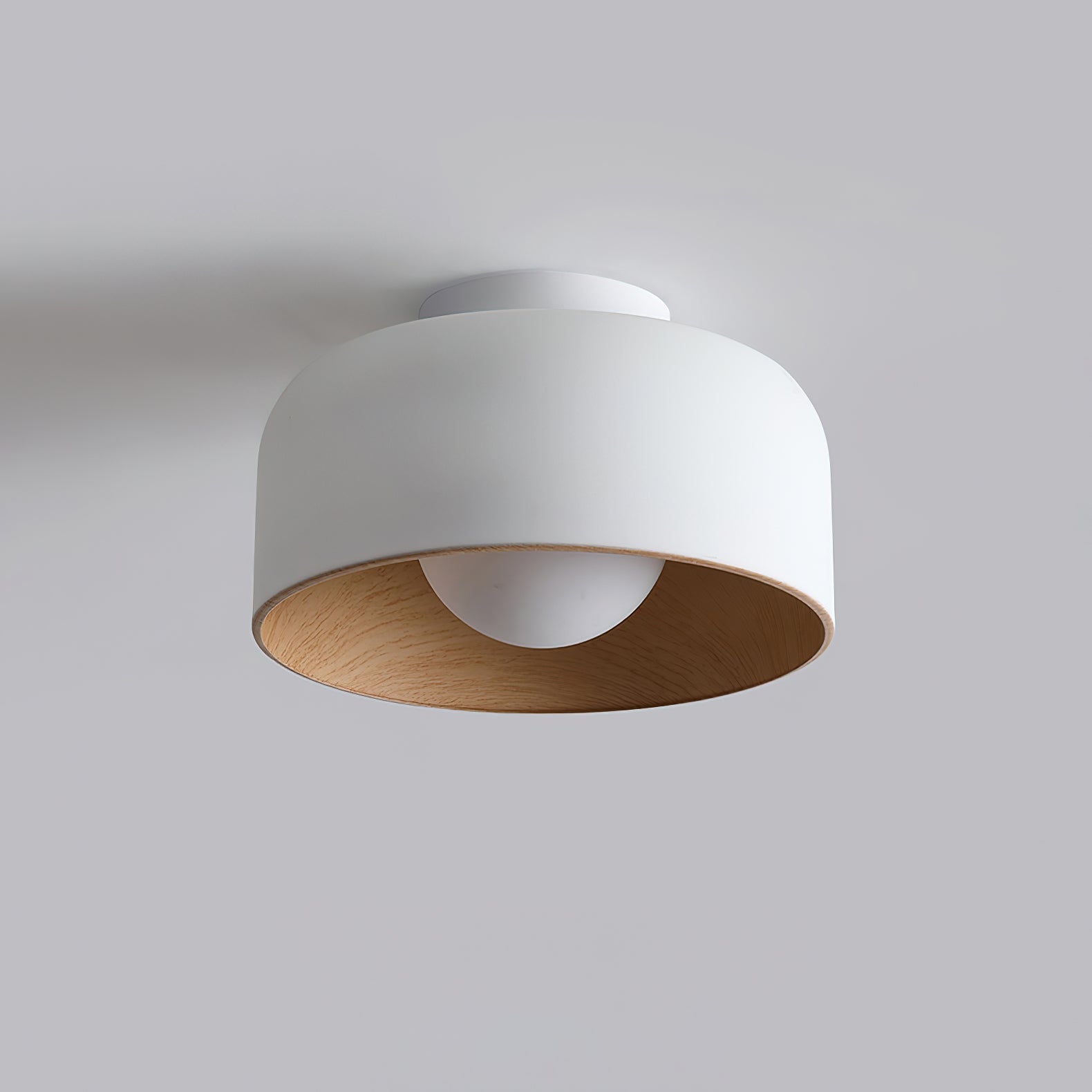 Belrosus Ceiling Light