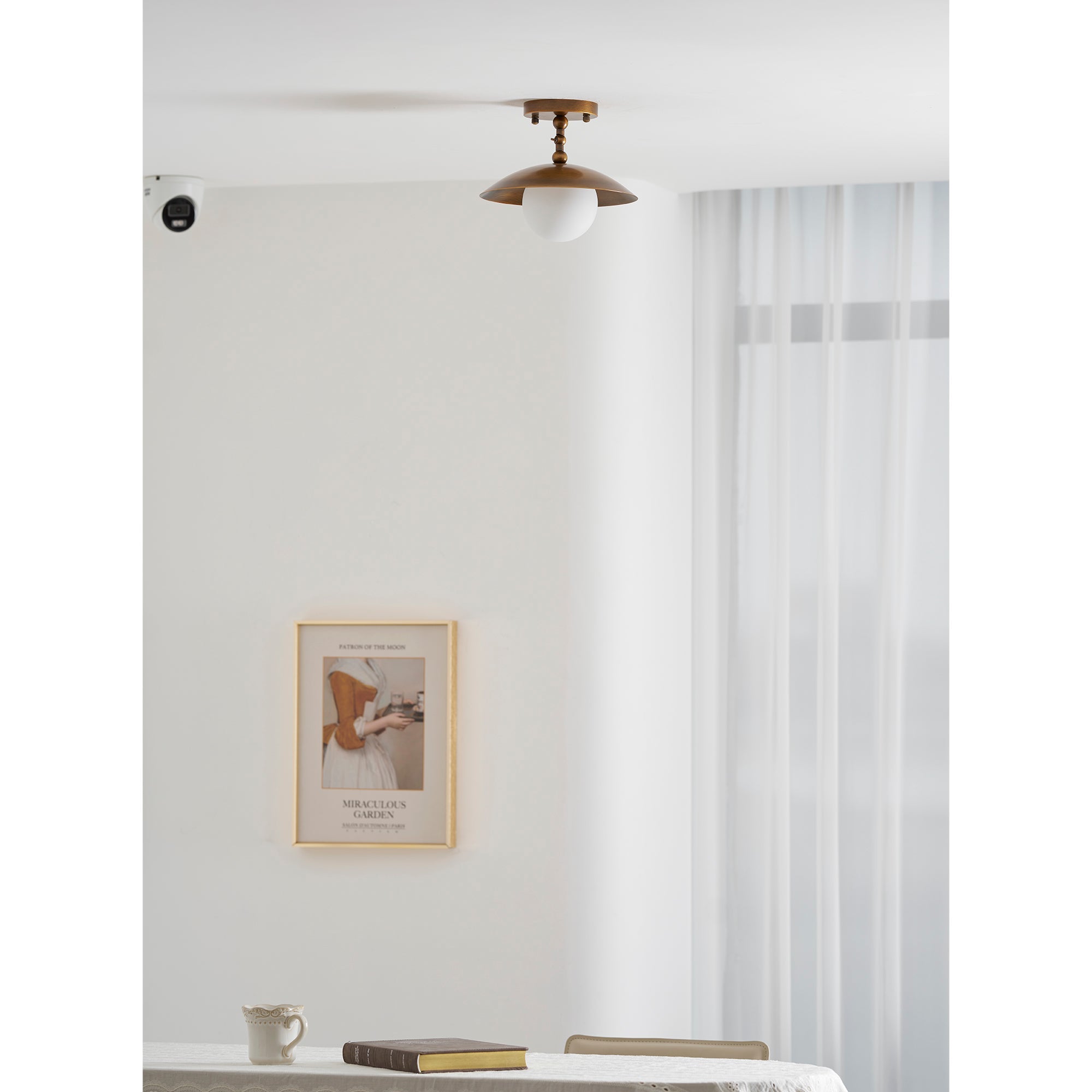 Alunona Globe Ceiling Light