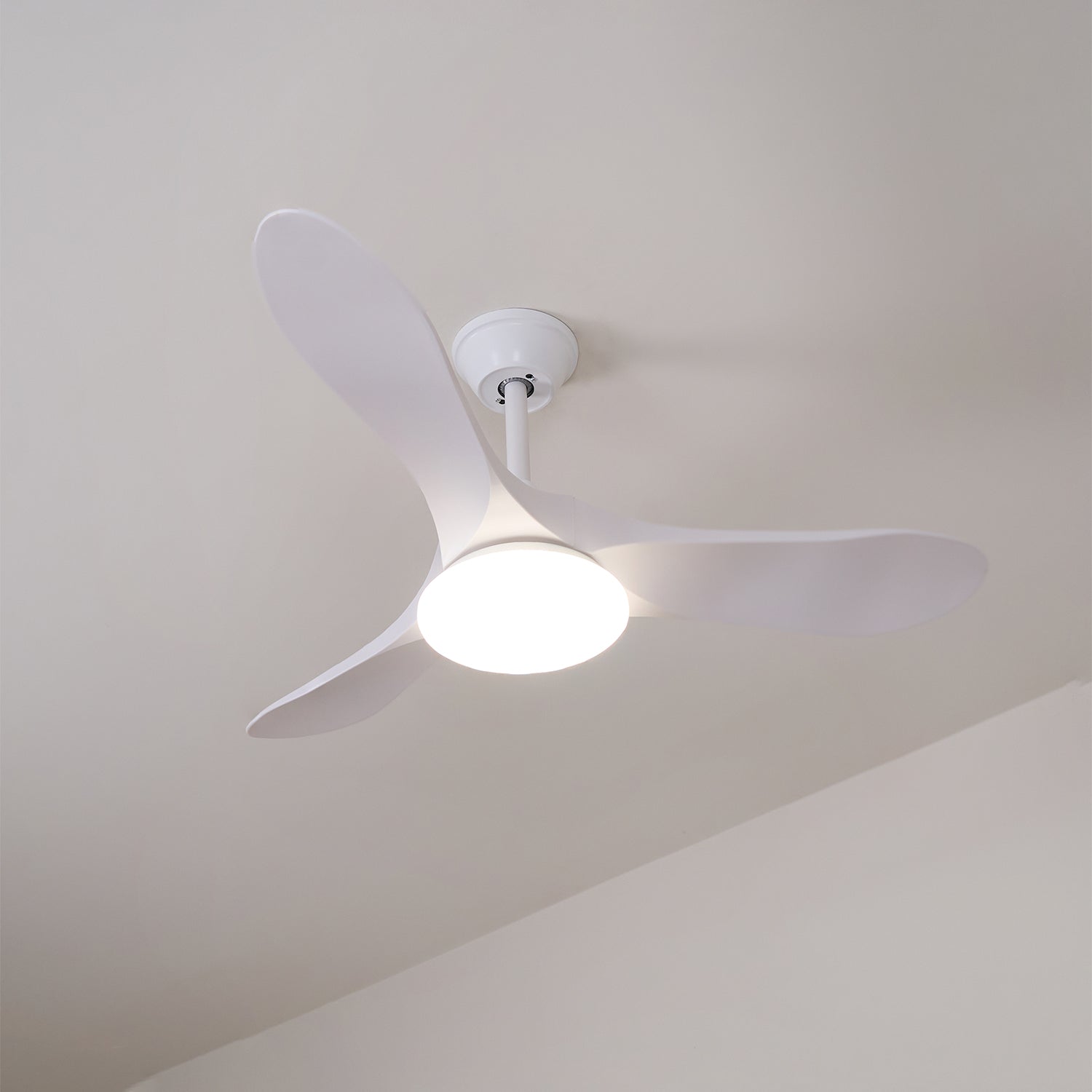 Elorian Ceiling Fan Light