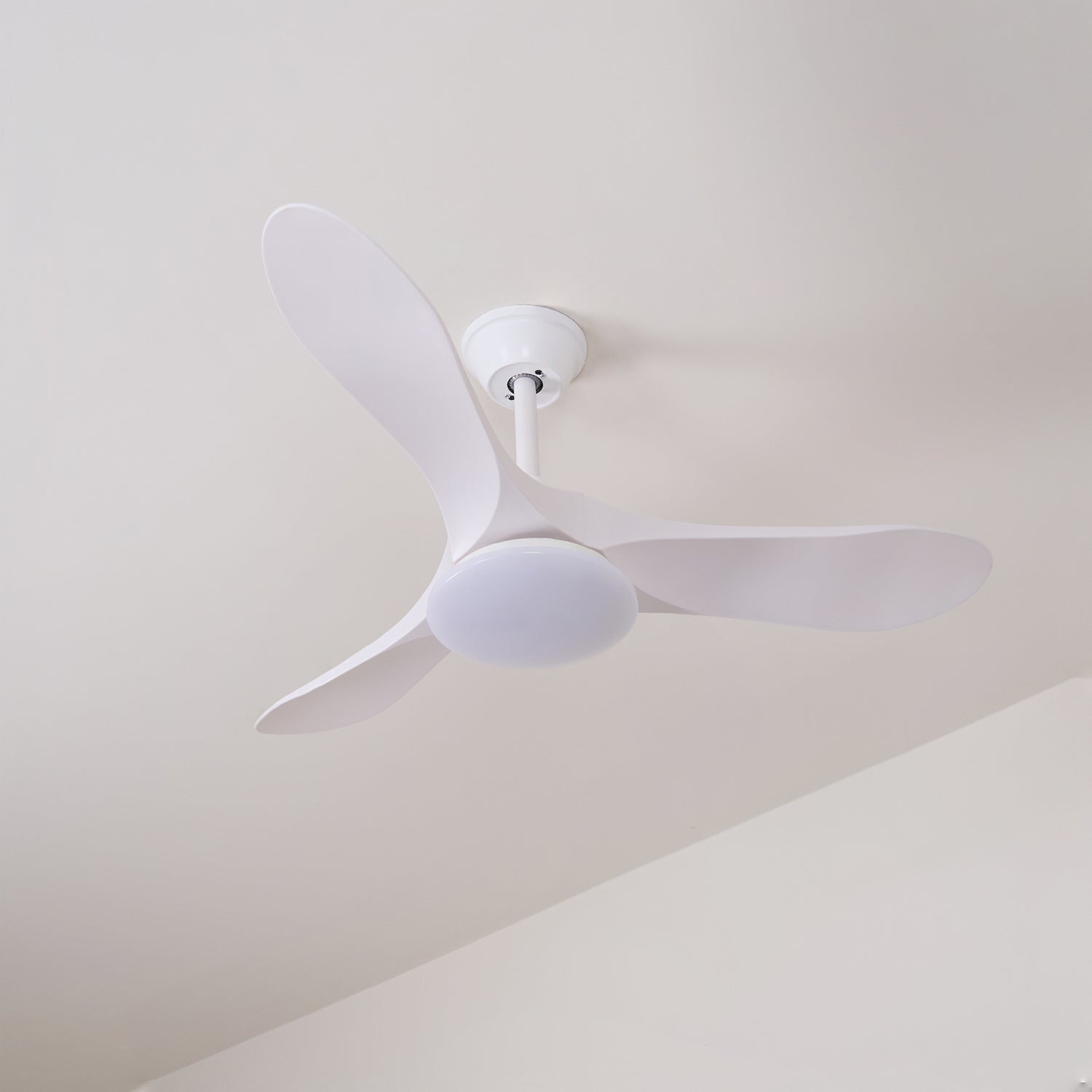 Elorian Ceiling Fan Light