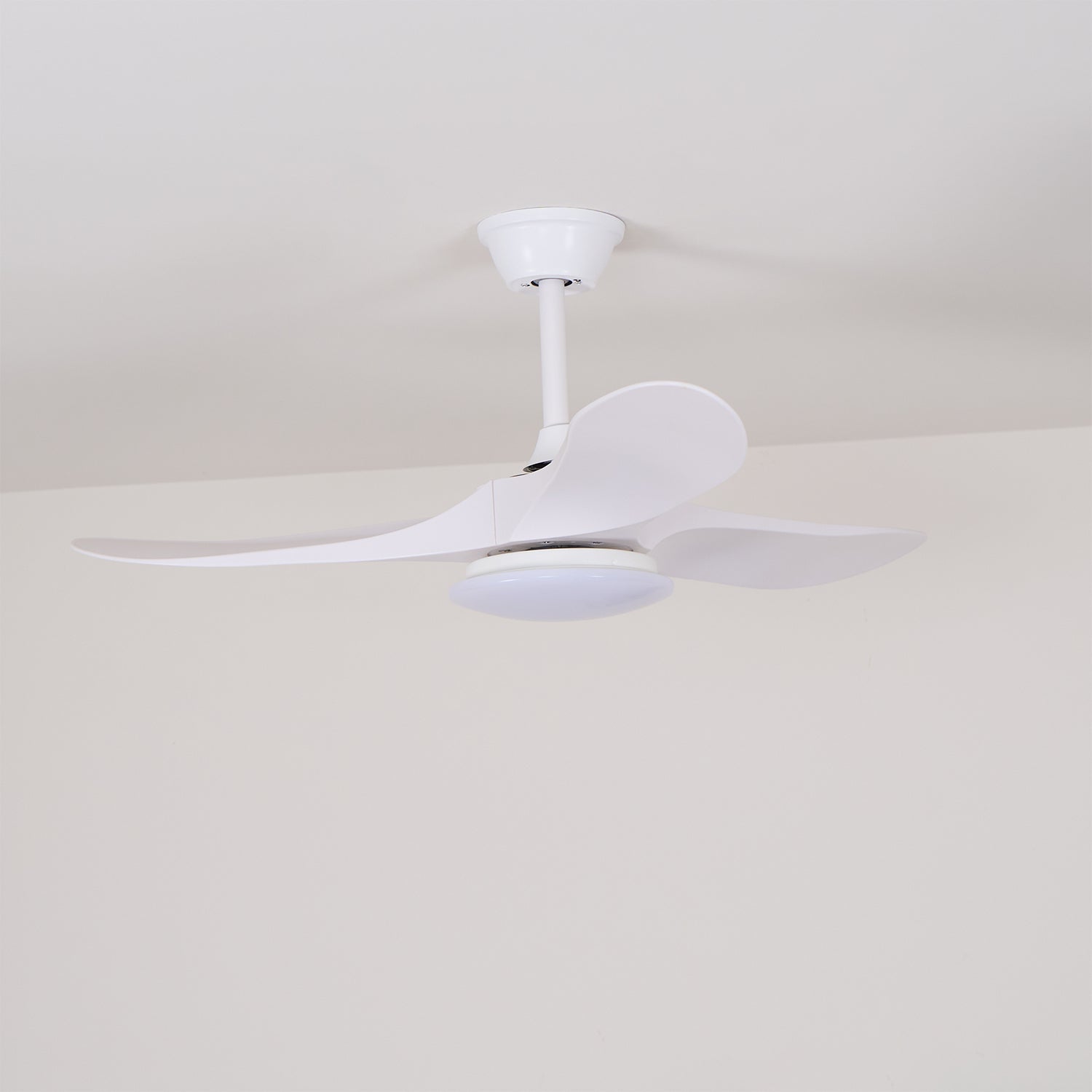 Elorian Ceiling Fan Light