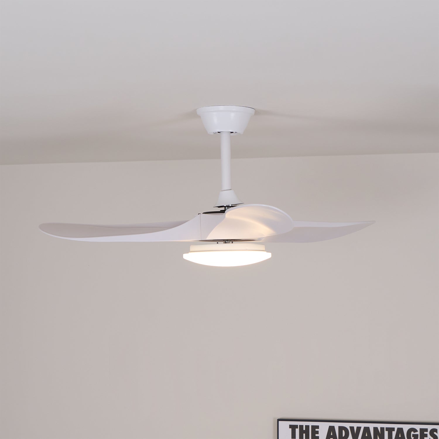 Elorian Ceiling Fan Light