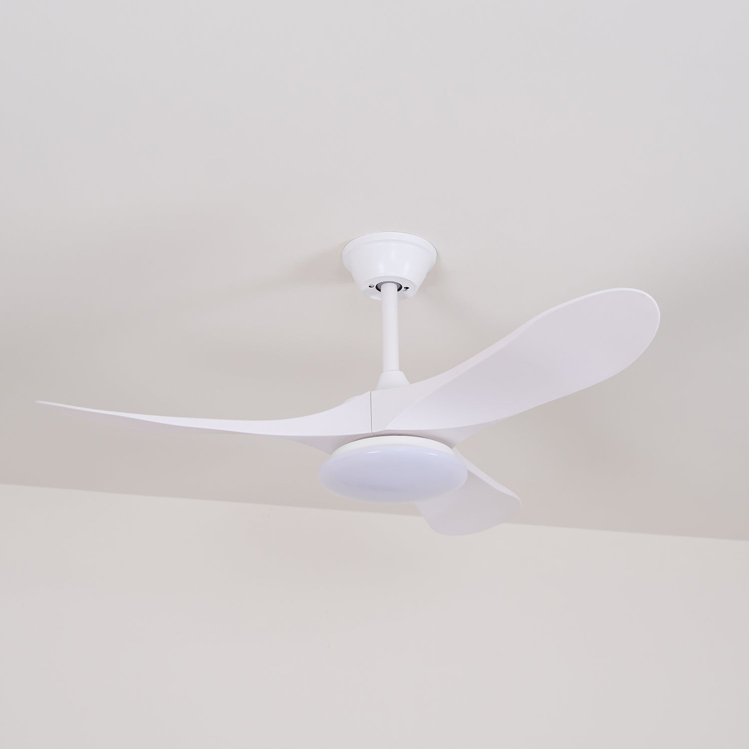 Elorian Ceiling Fan Light