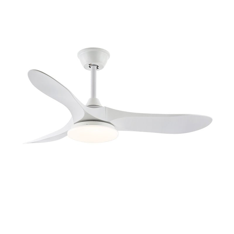 Elorian Ceiling Fan Light