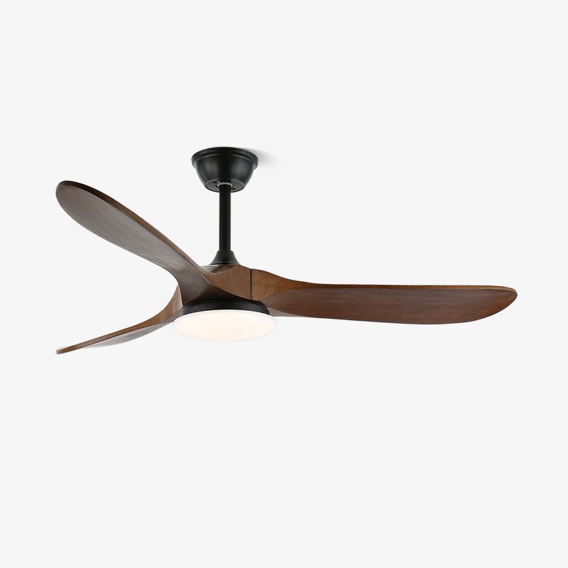Elorian Ceiling Fan Light