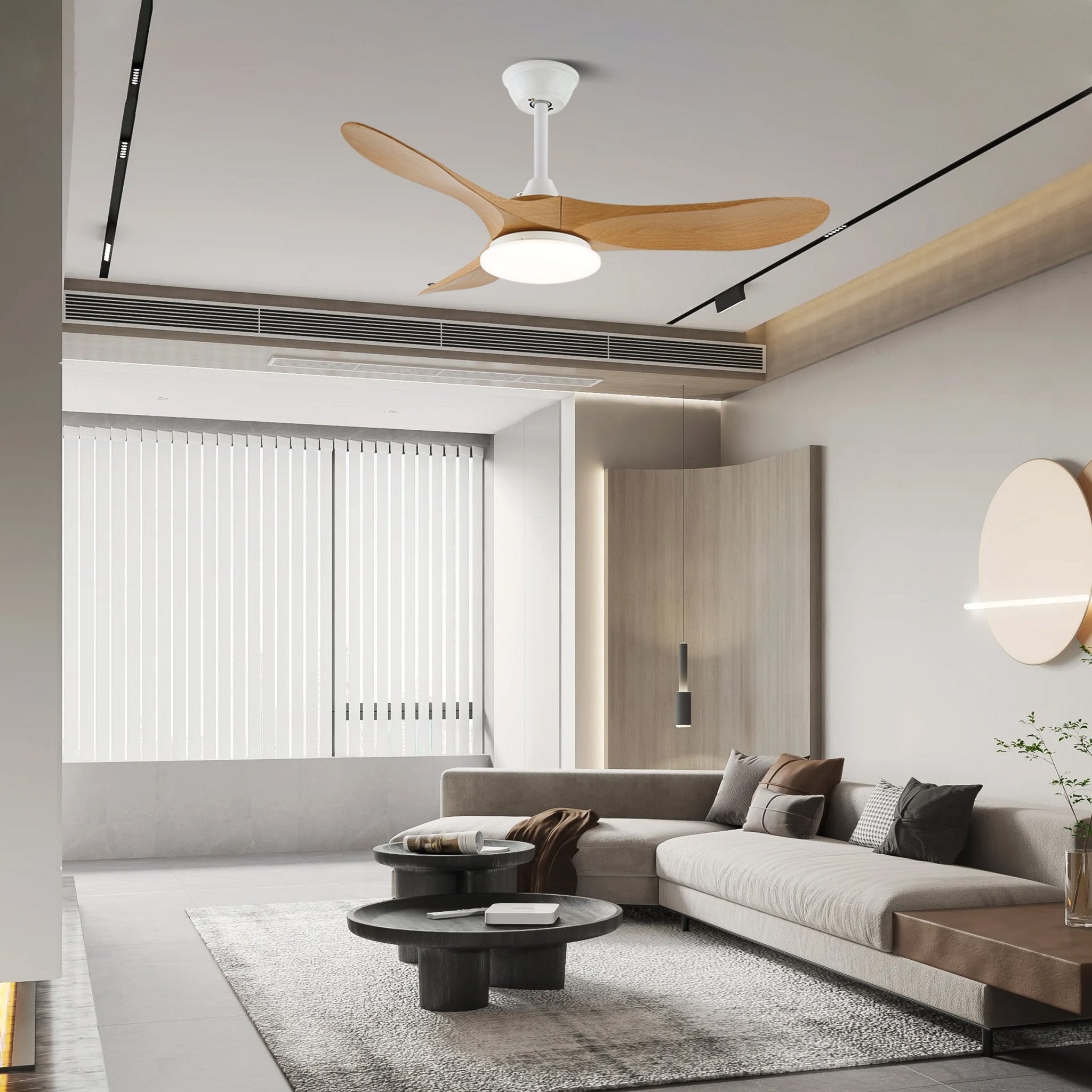 Elorian Ceiling Fan Light