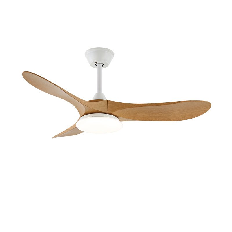 Elorian Ceiling Fan Light