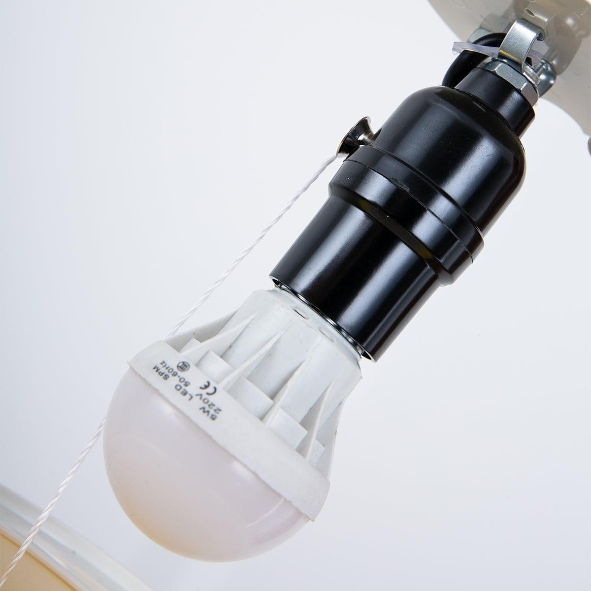 Pusanora Balloon Wall Light